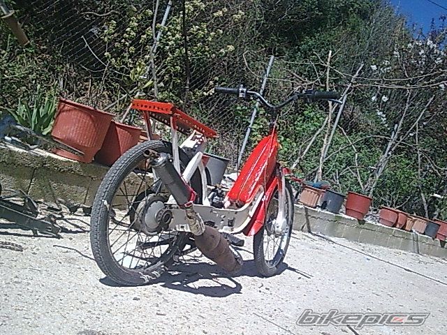 Photo 2542931