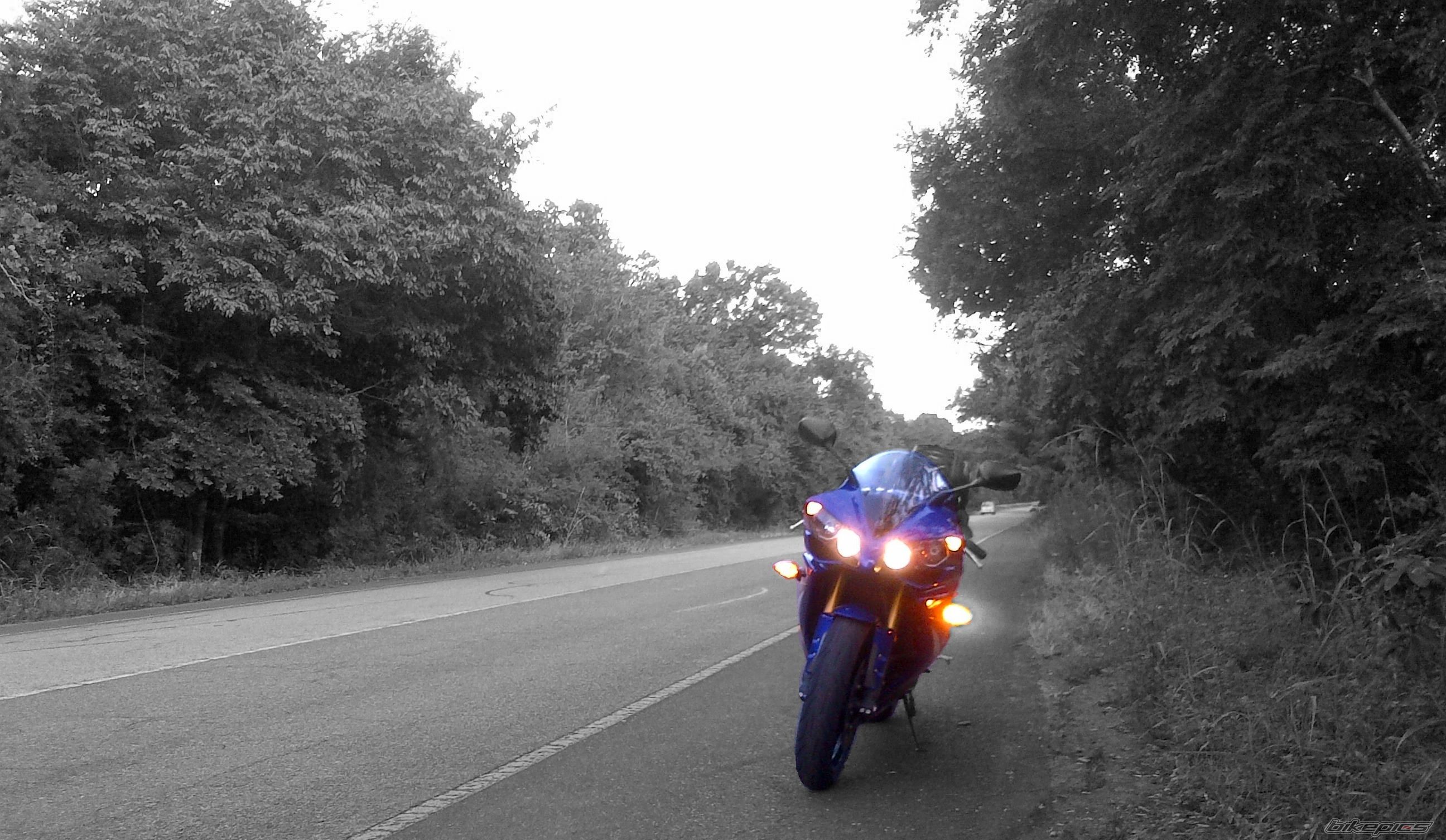 Photo 2542962