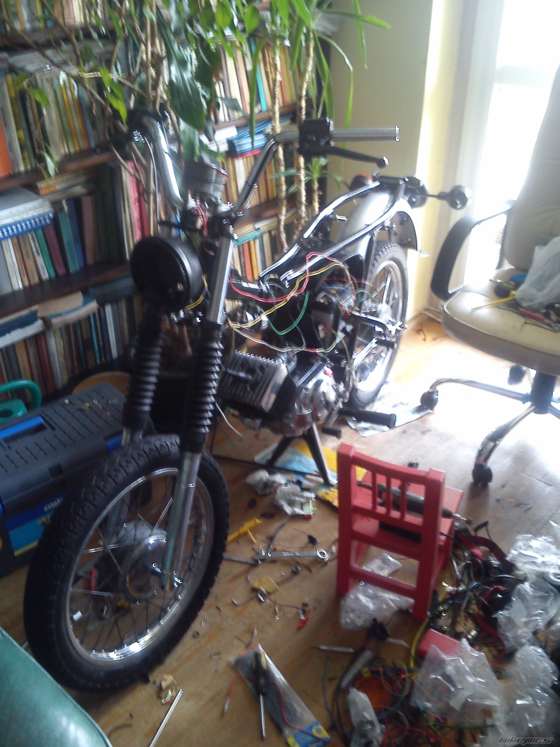 Photo 2542972