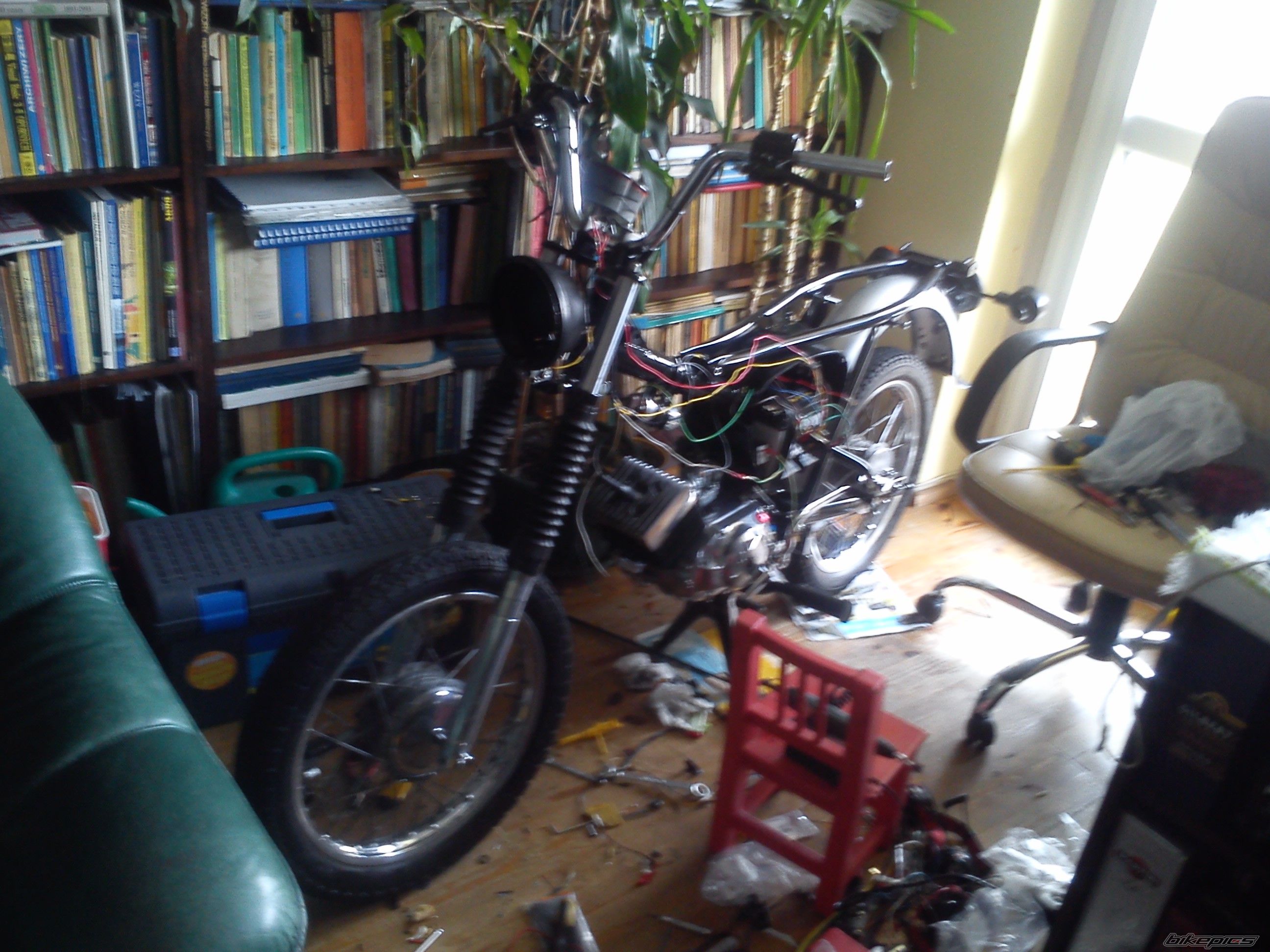 Photo 2542973