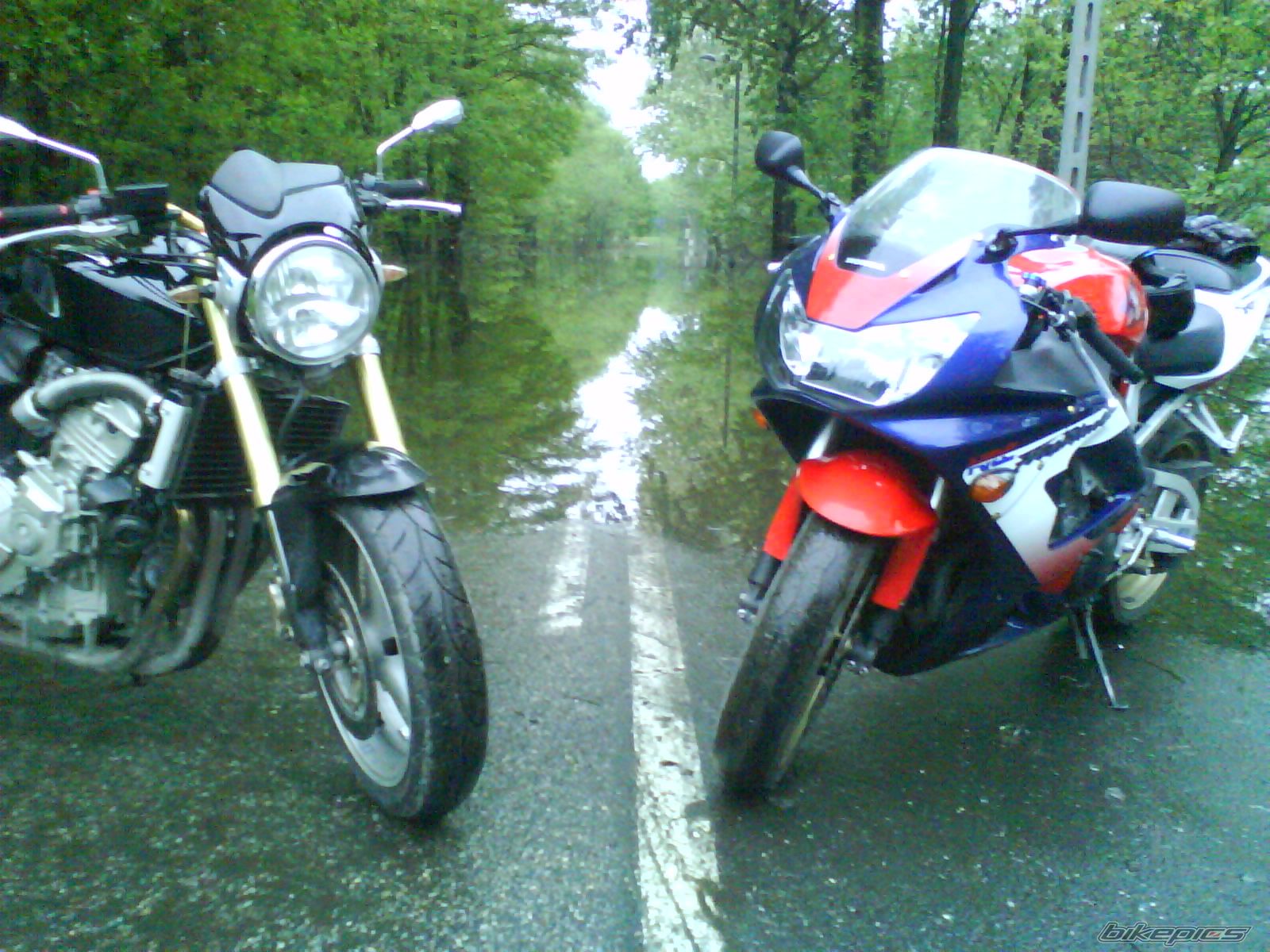 Photo 2542992