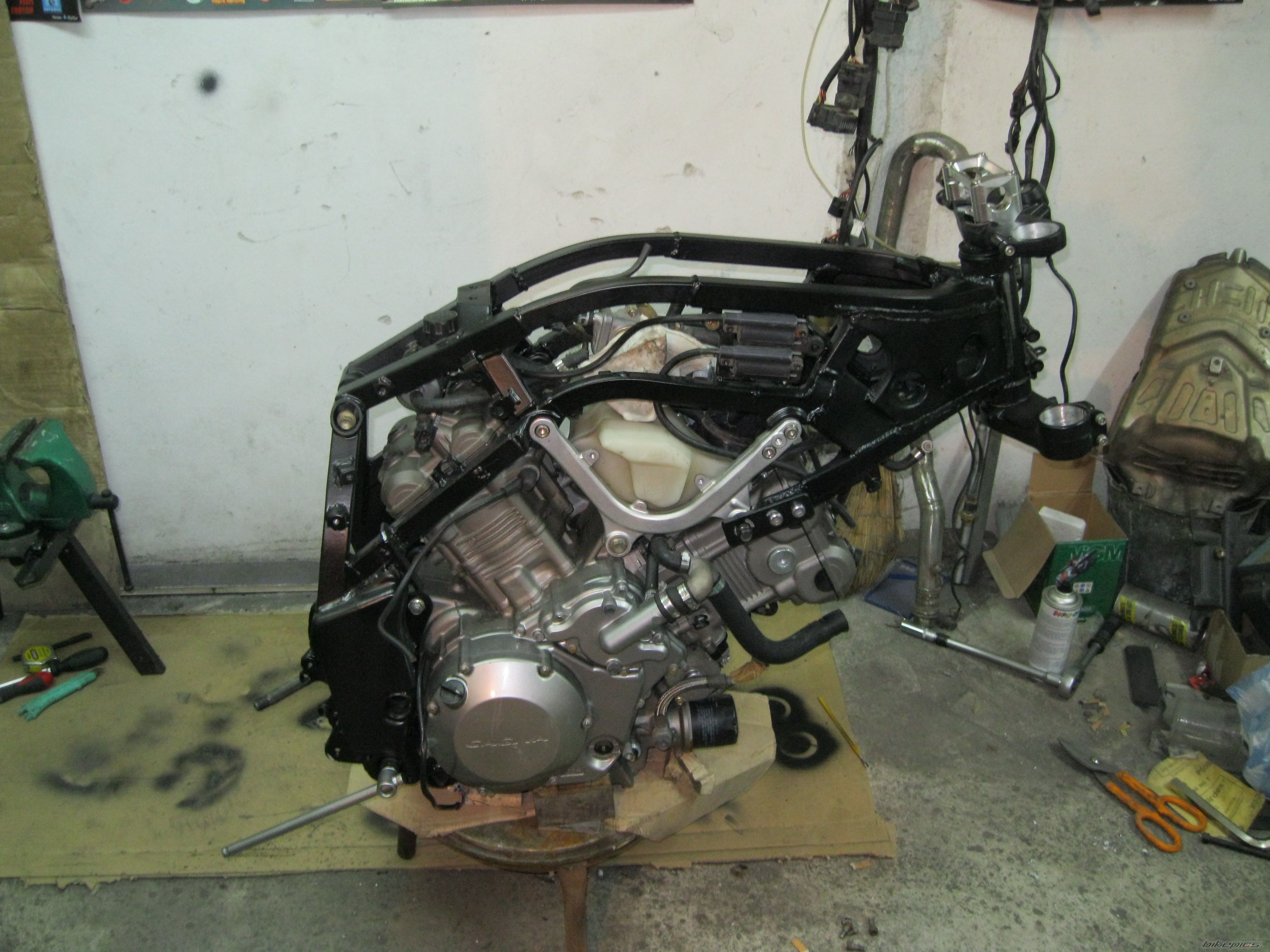 Photo 2543054