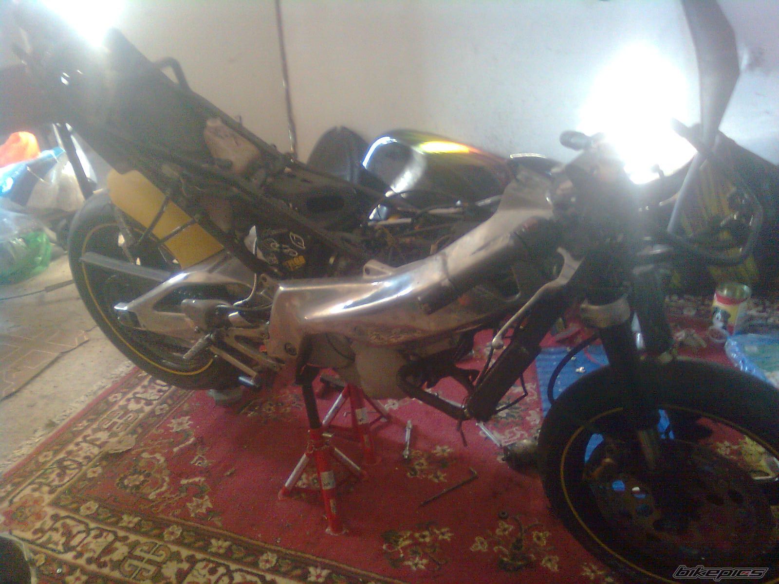 Photo 2543156