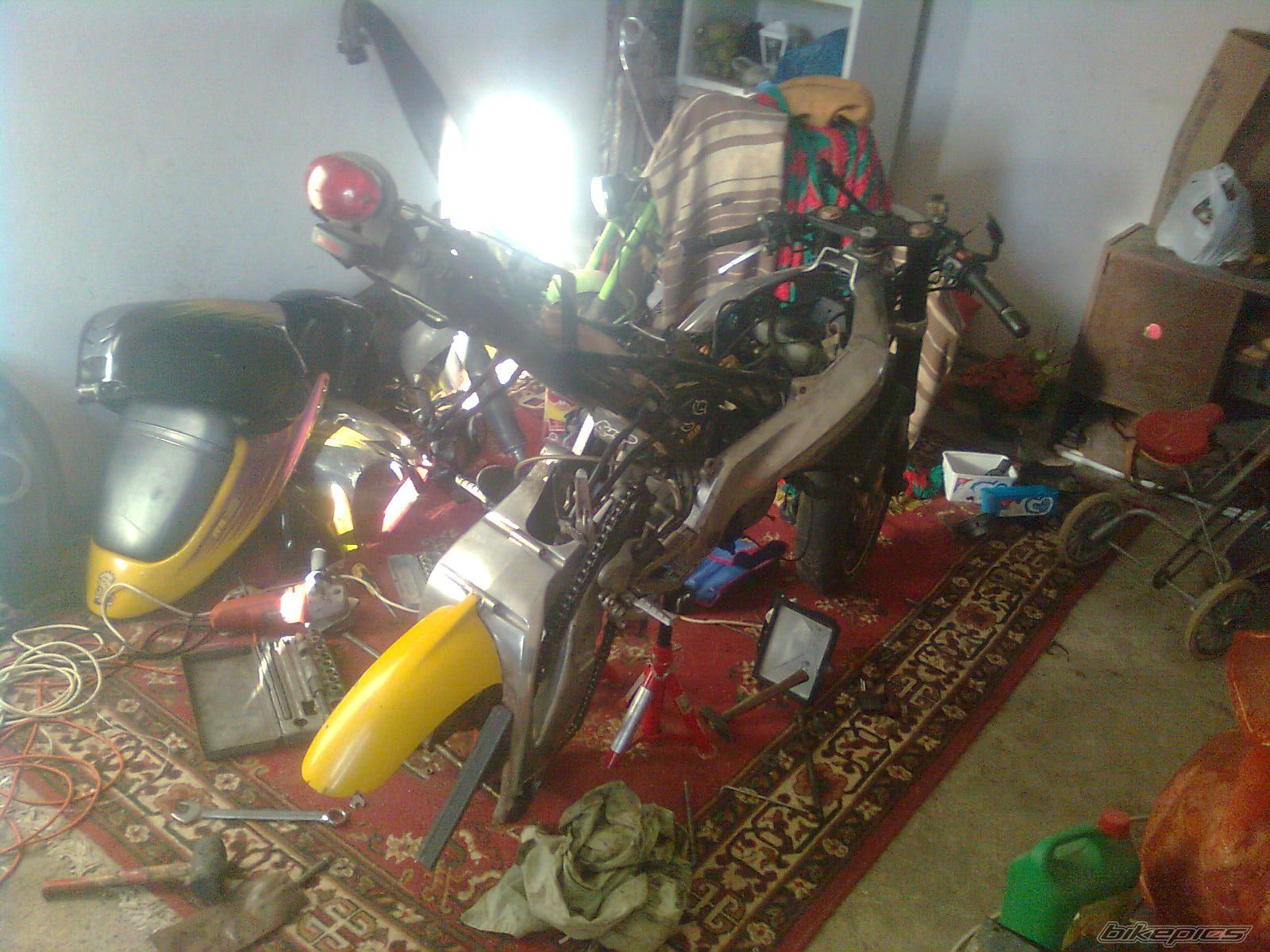 Photo 2543157