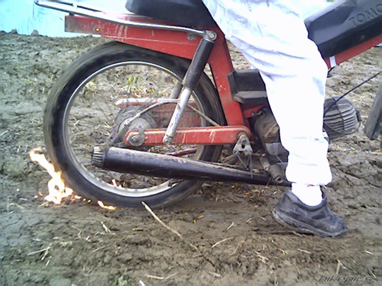 Photo 254321