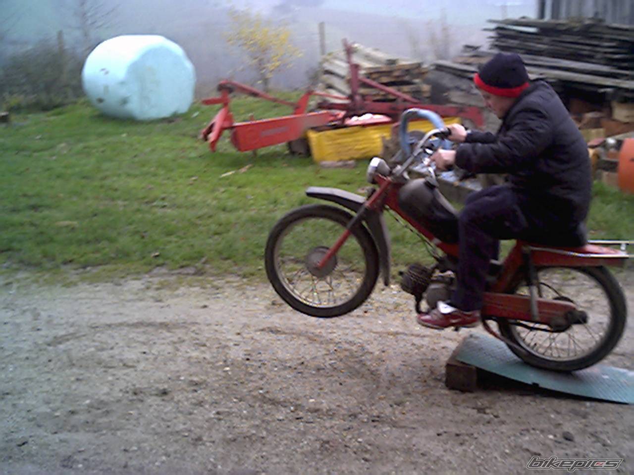 Photo 254322