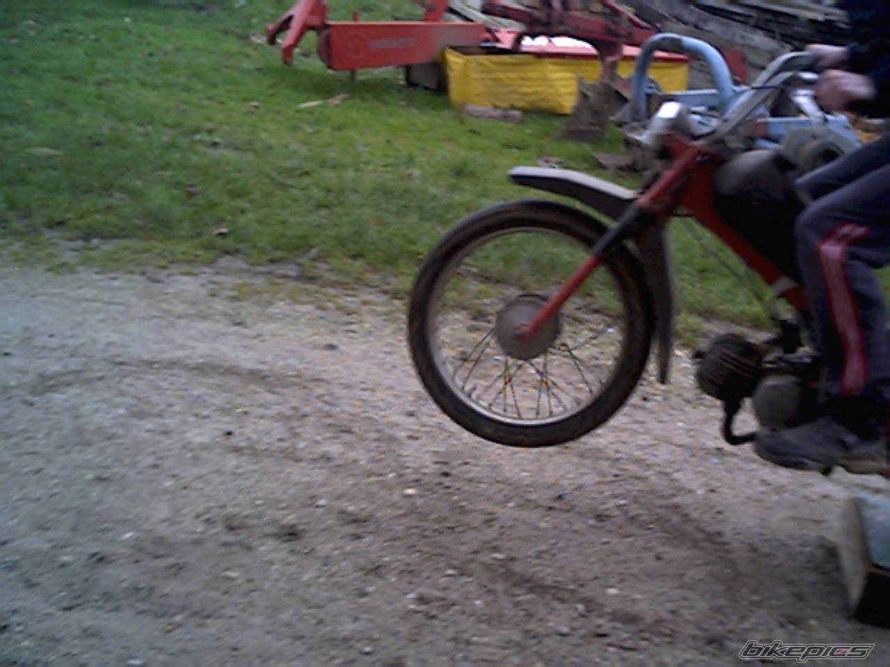 Photo 254328
