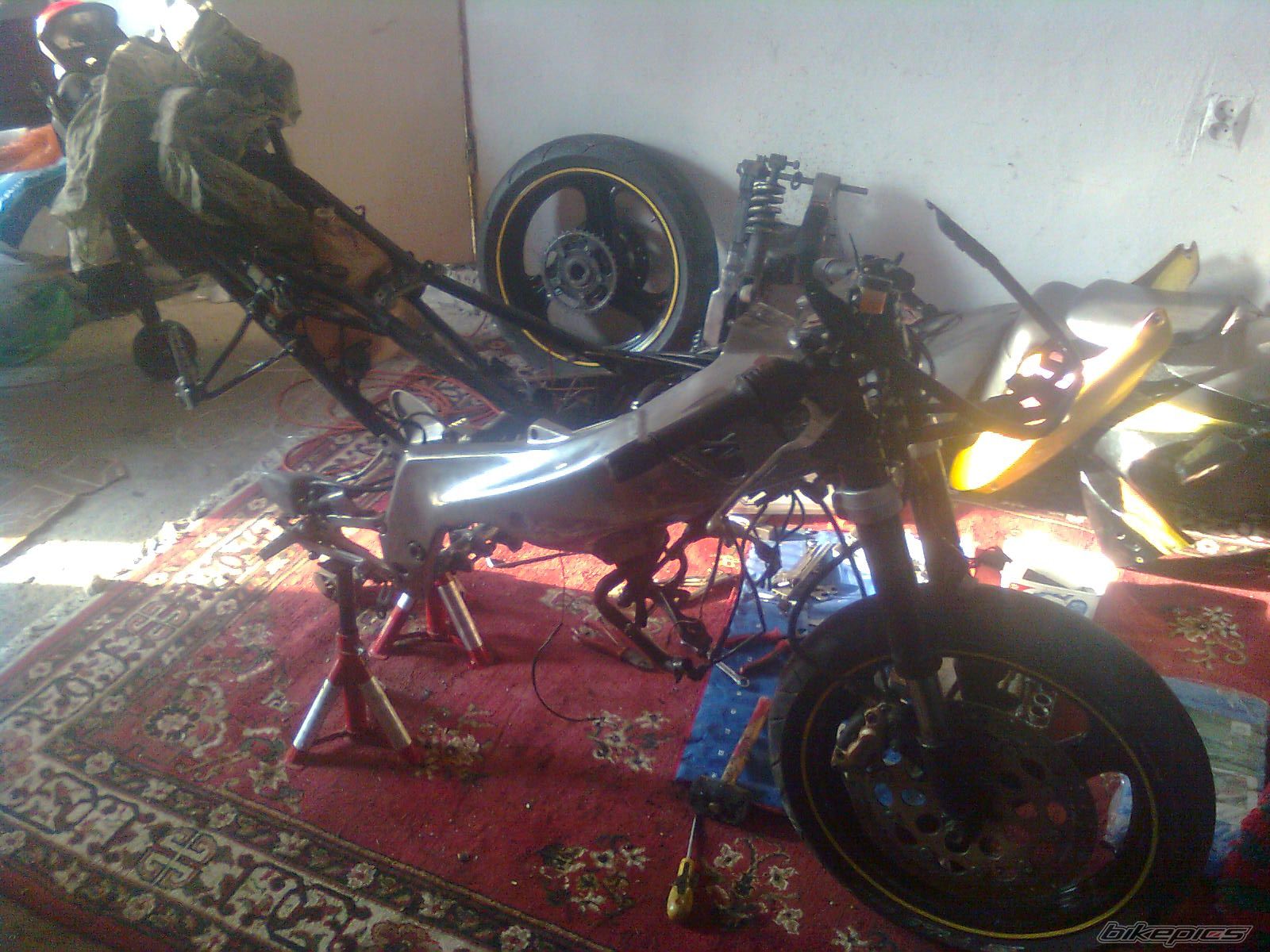 Photo 2543344