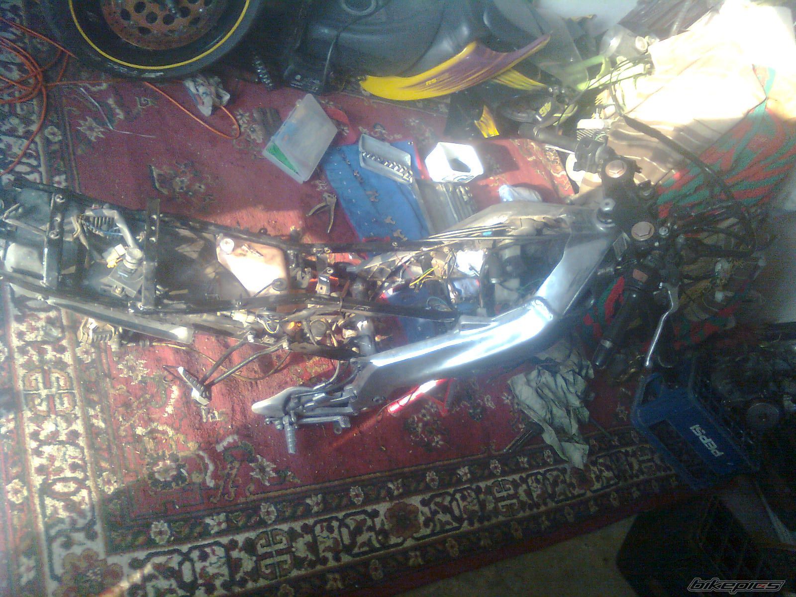 Photo 2543347