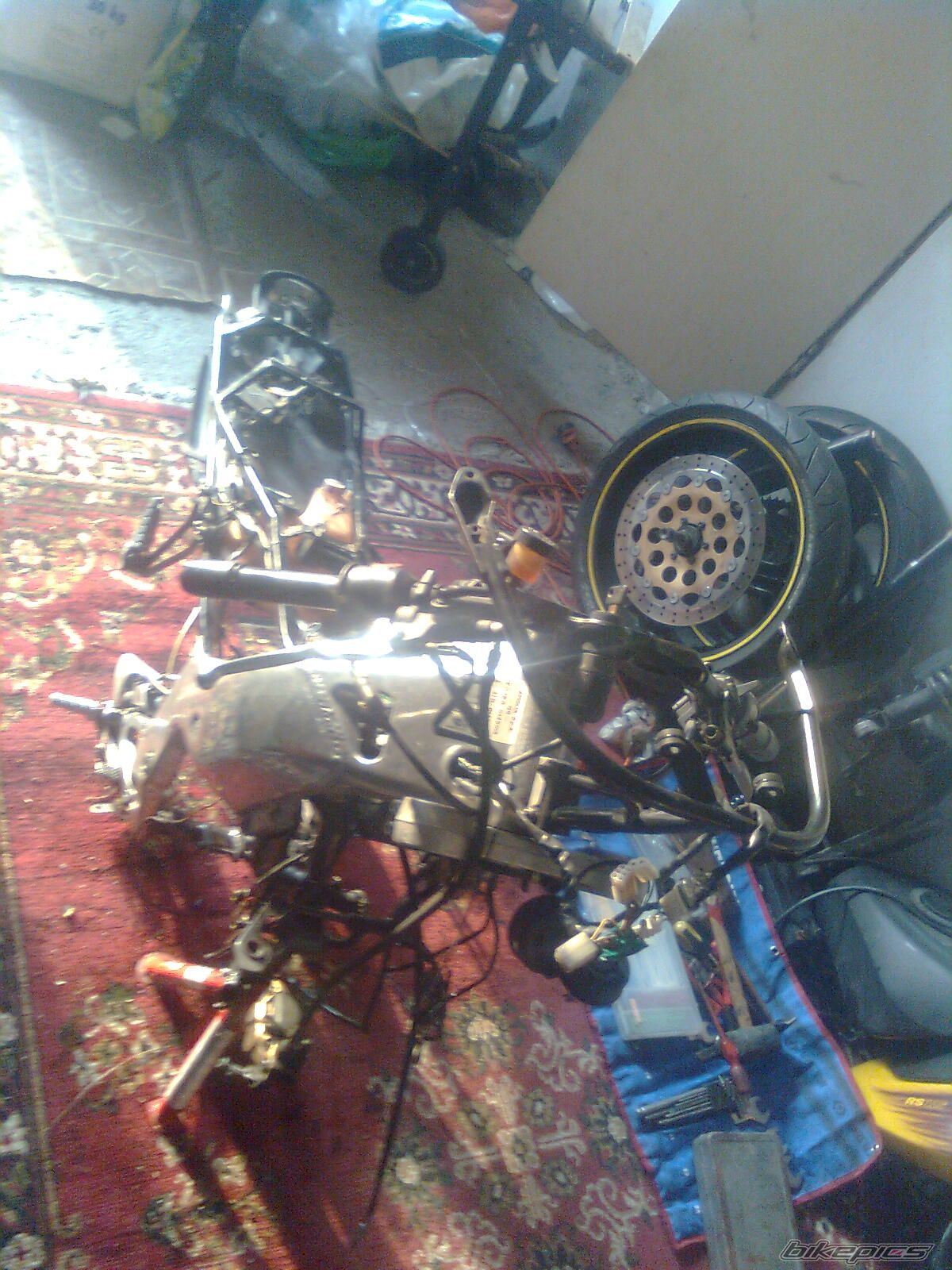 Photo 2543348