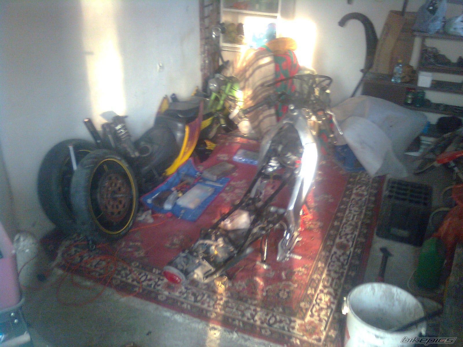 Photo 2543349
