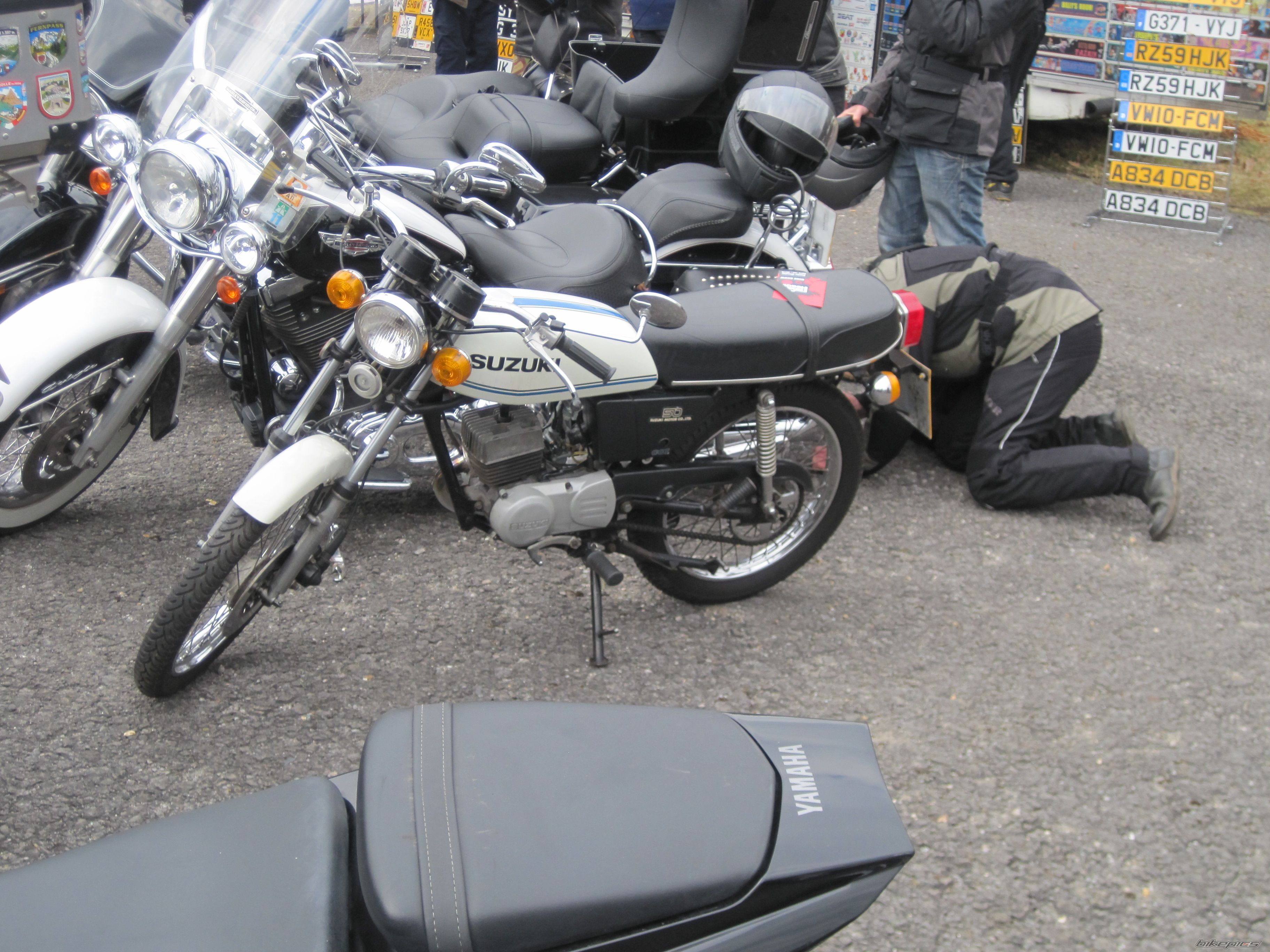 Photo 2543454