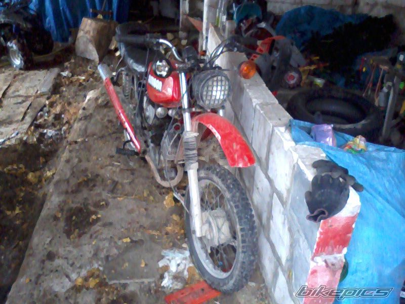 Photo 2543497