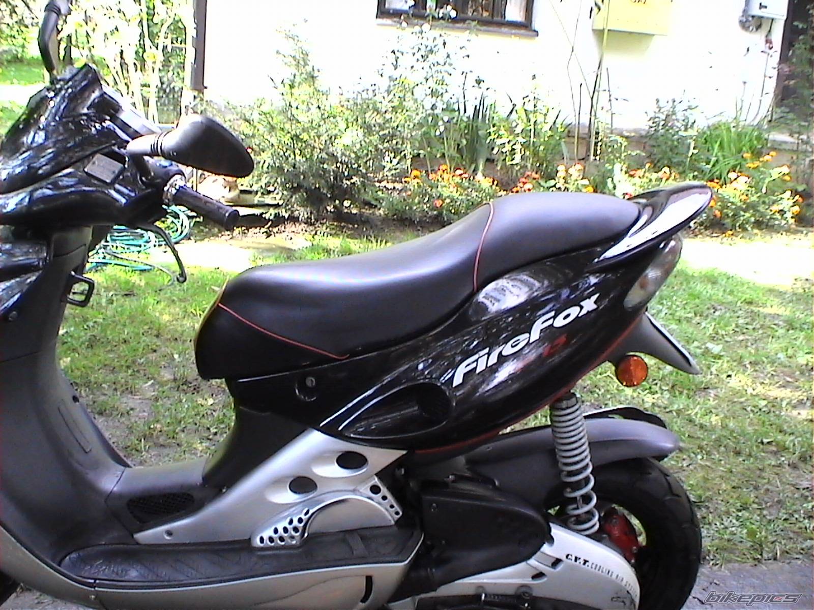 Photo 254355