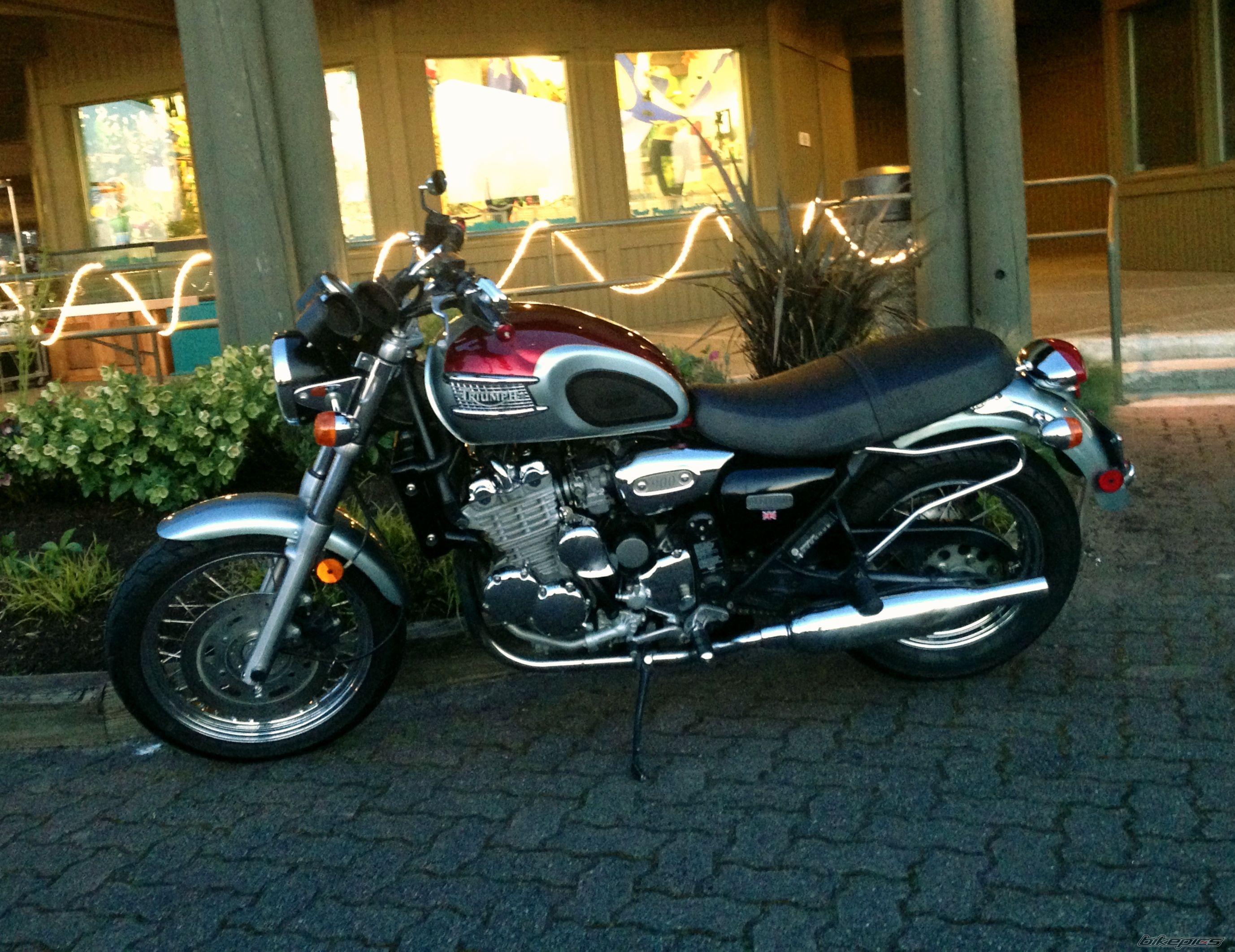 Photo 2543595