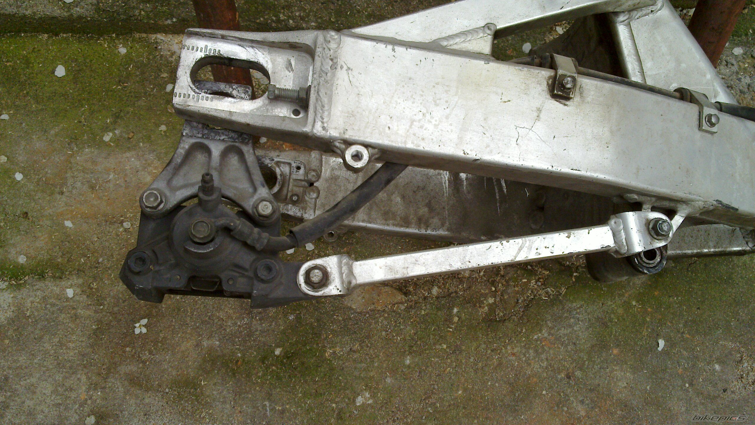 Photo 2543652