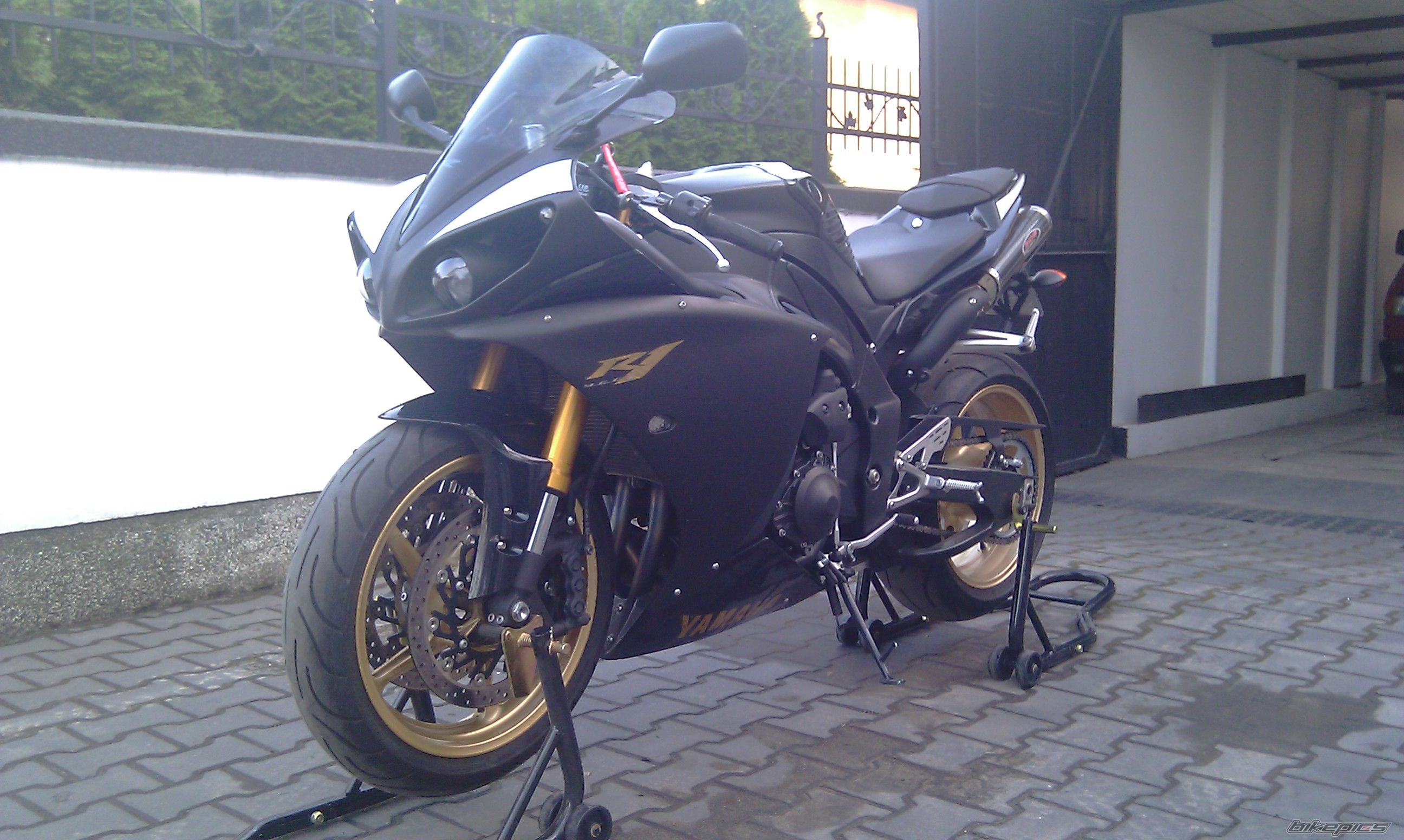 Photo 2543654