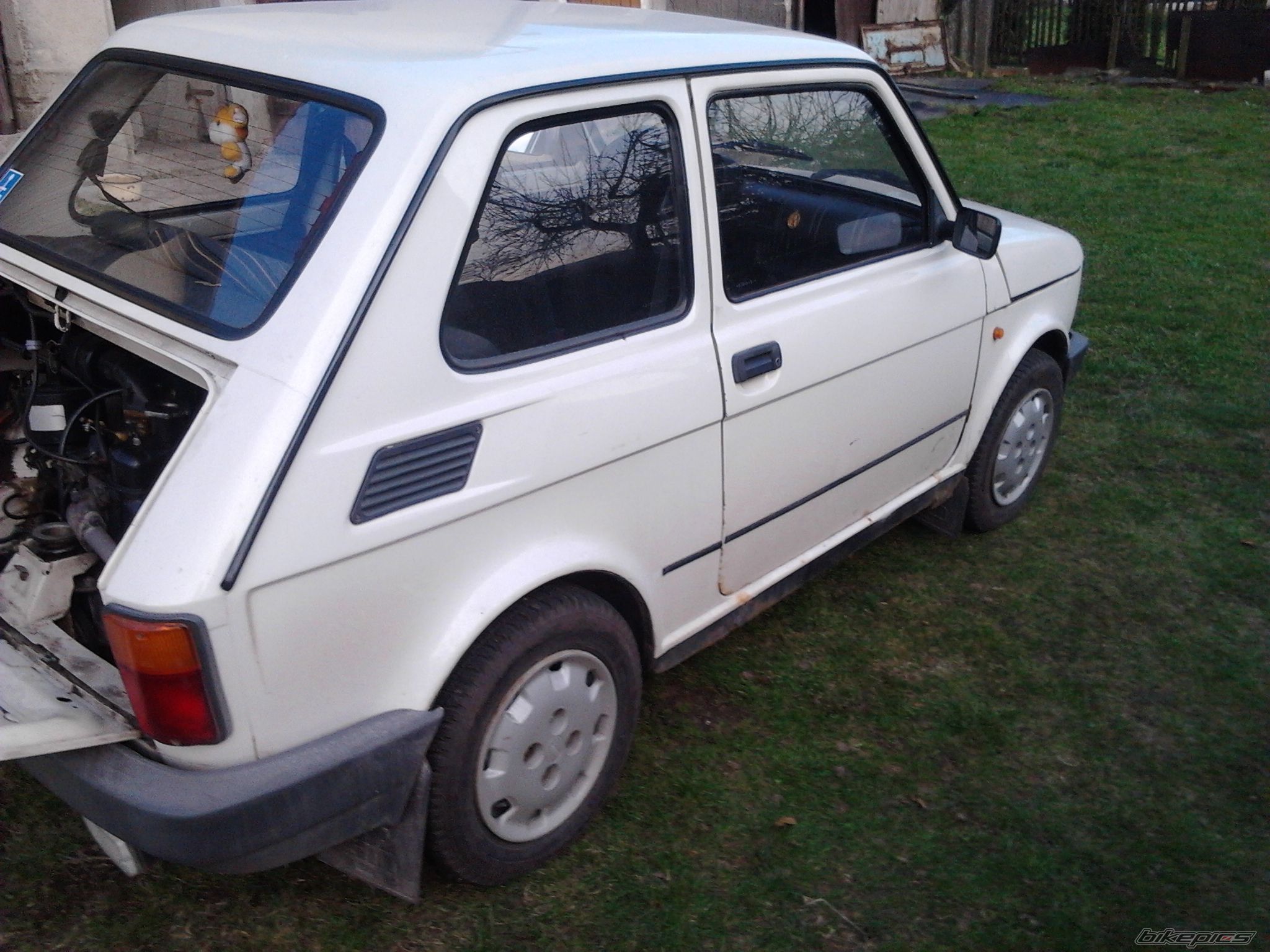 Photo 2543792