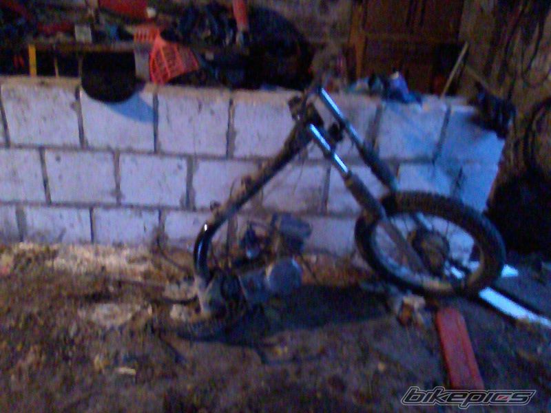 Photo 2543865