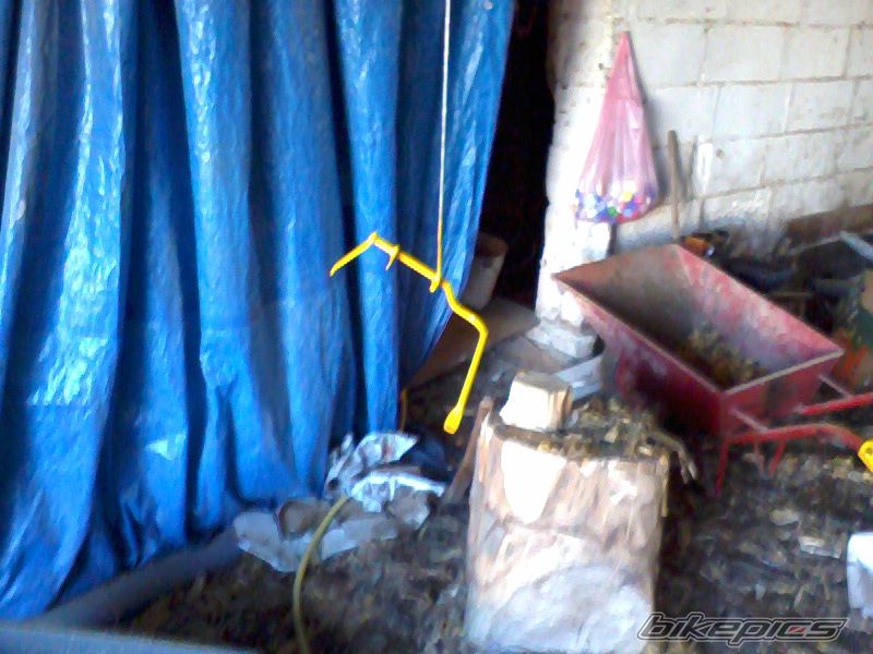 Photo 2543872