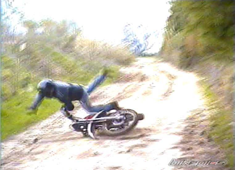 Photo 254393