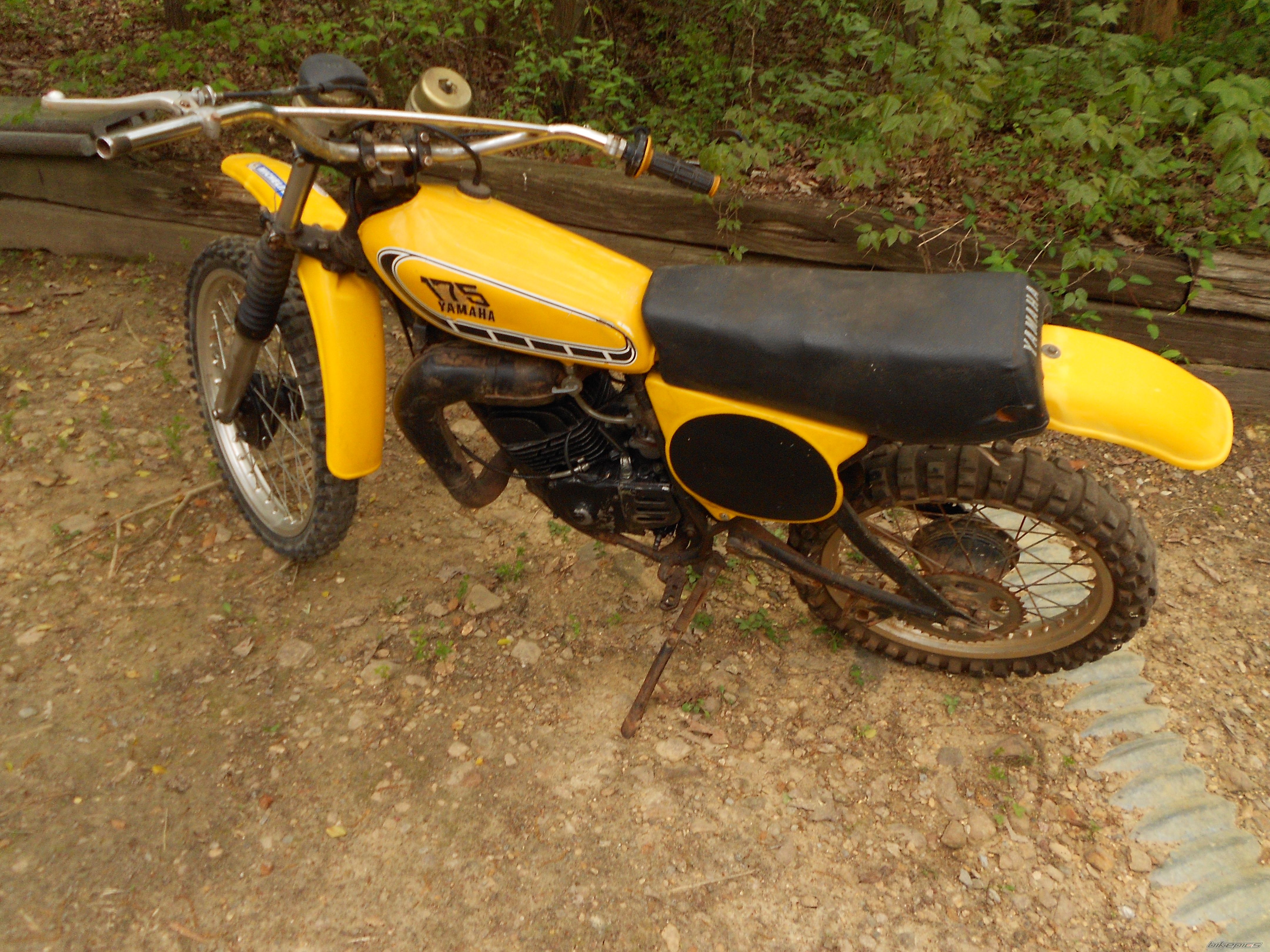 Photo 2543963
