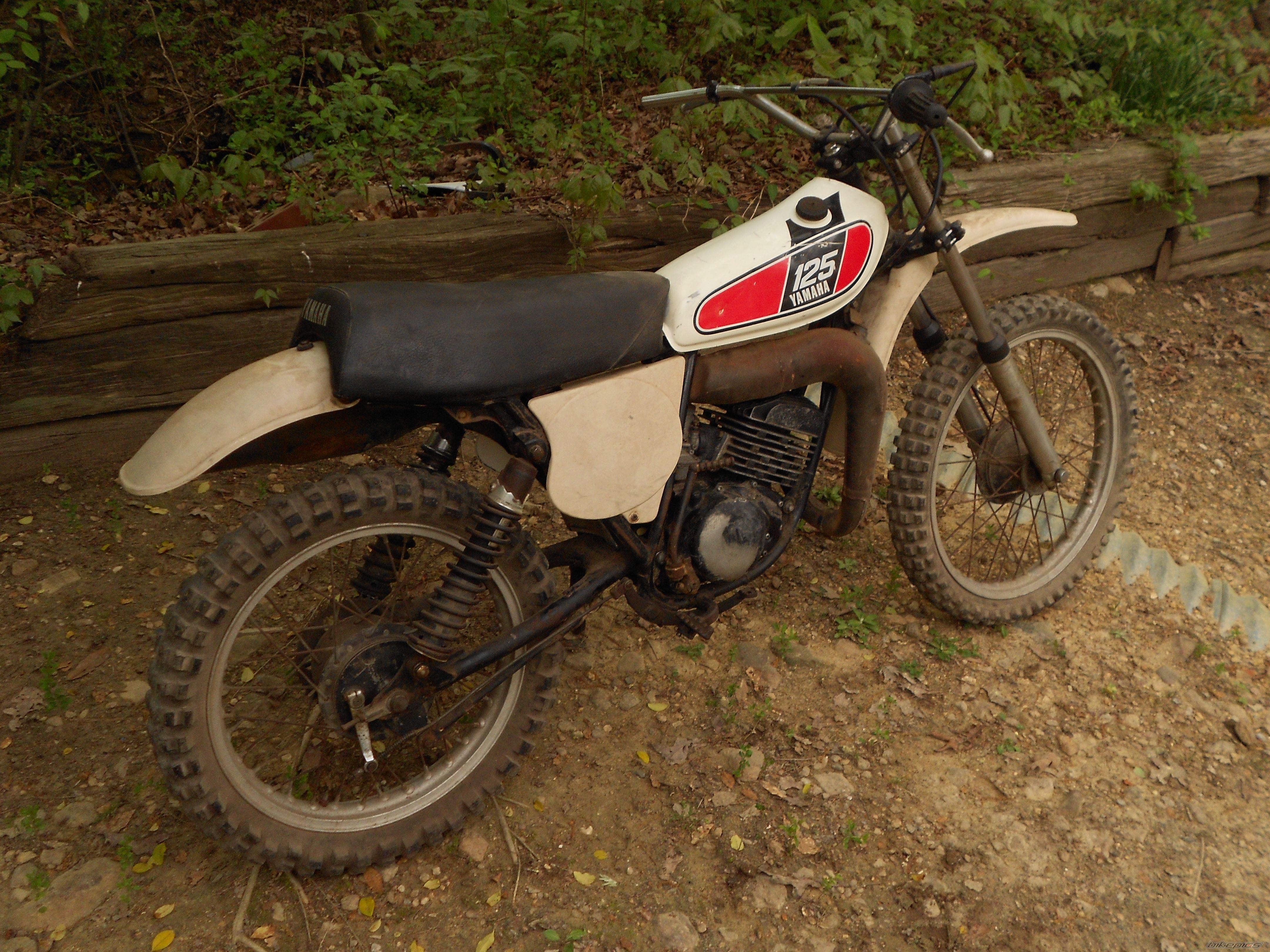 Photo 2543966