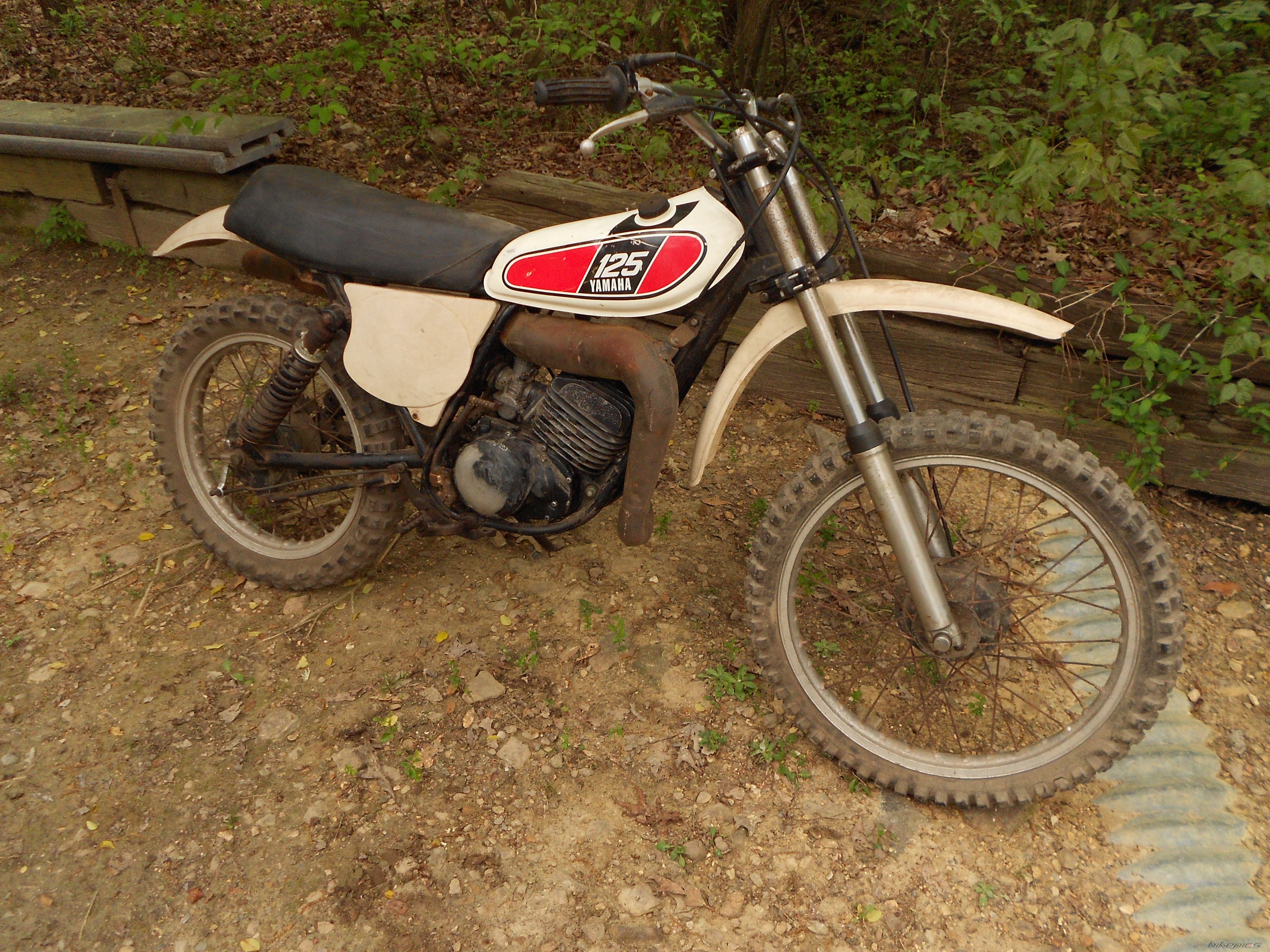 Photo 2543967