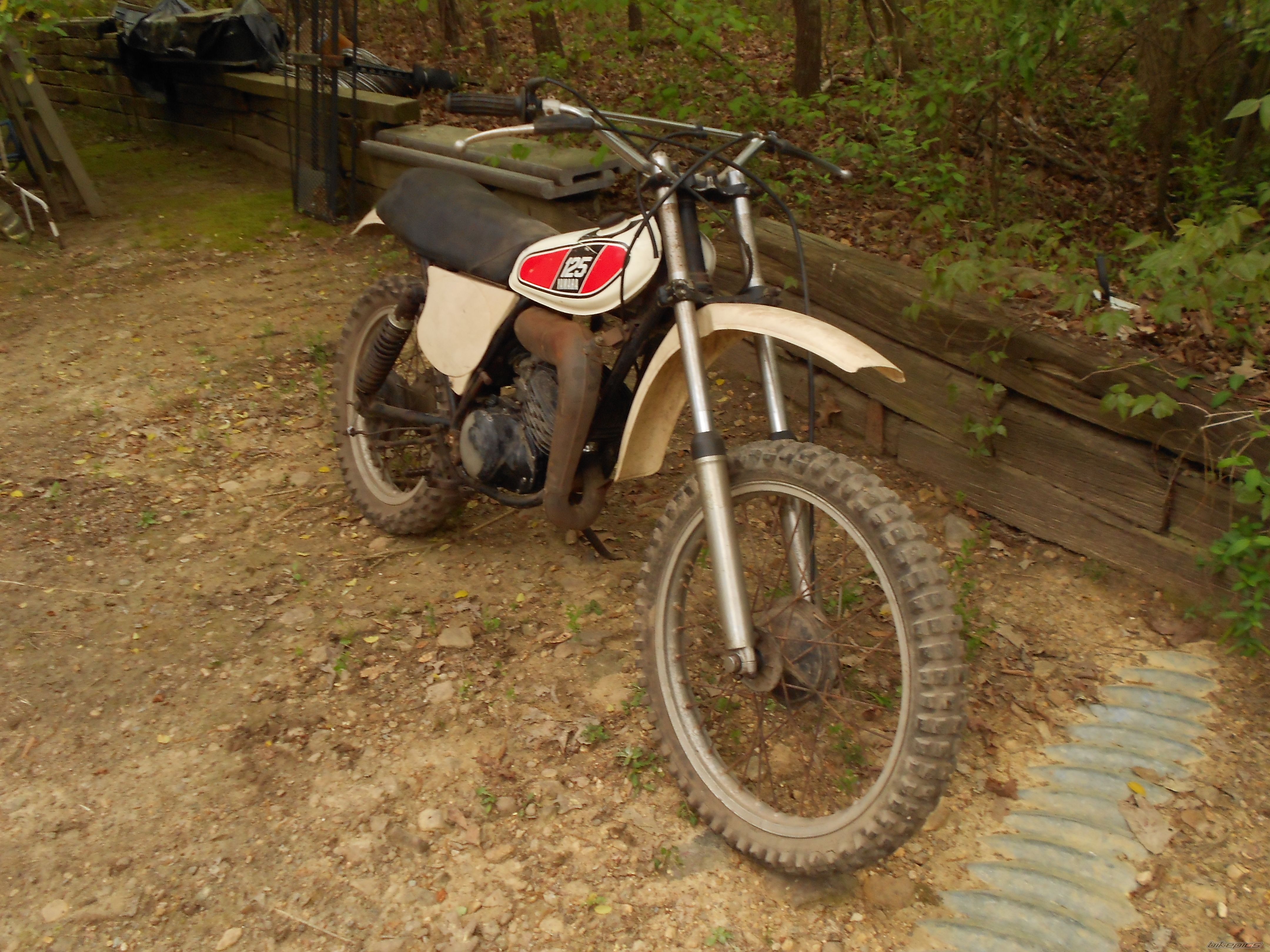 Photo 2543968