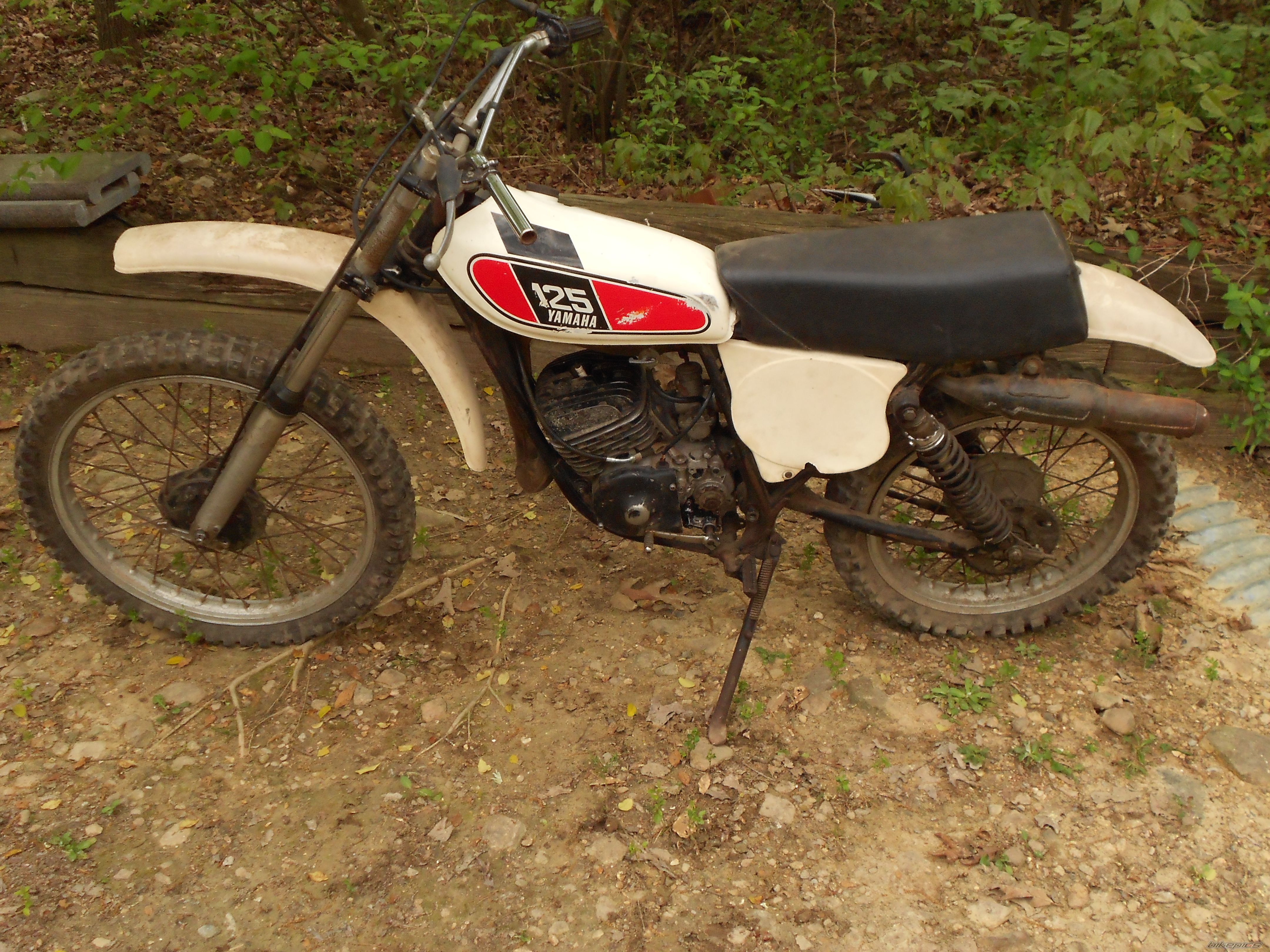 Photo 2543976