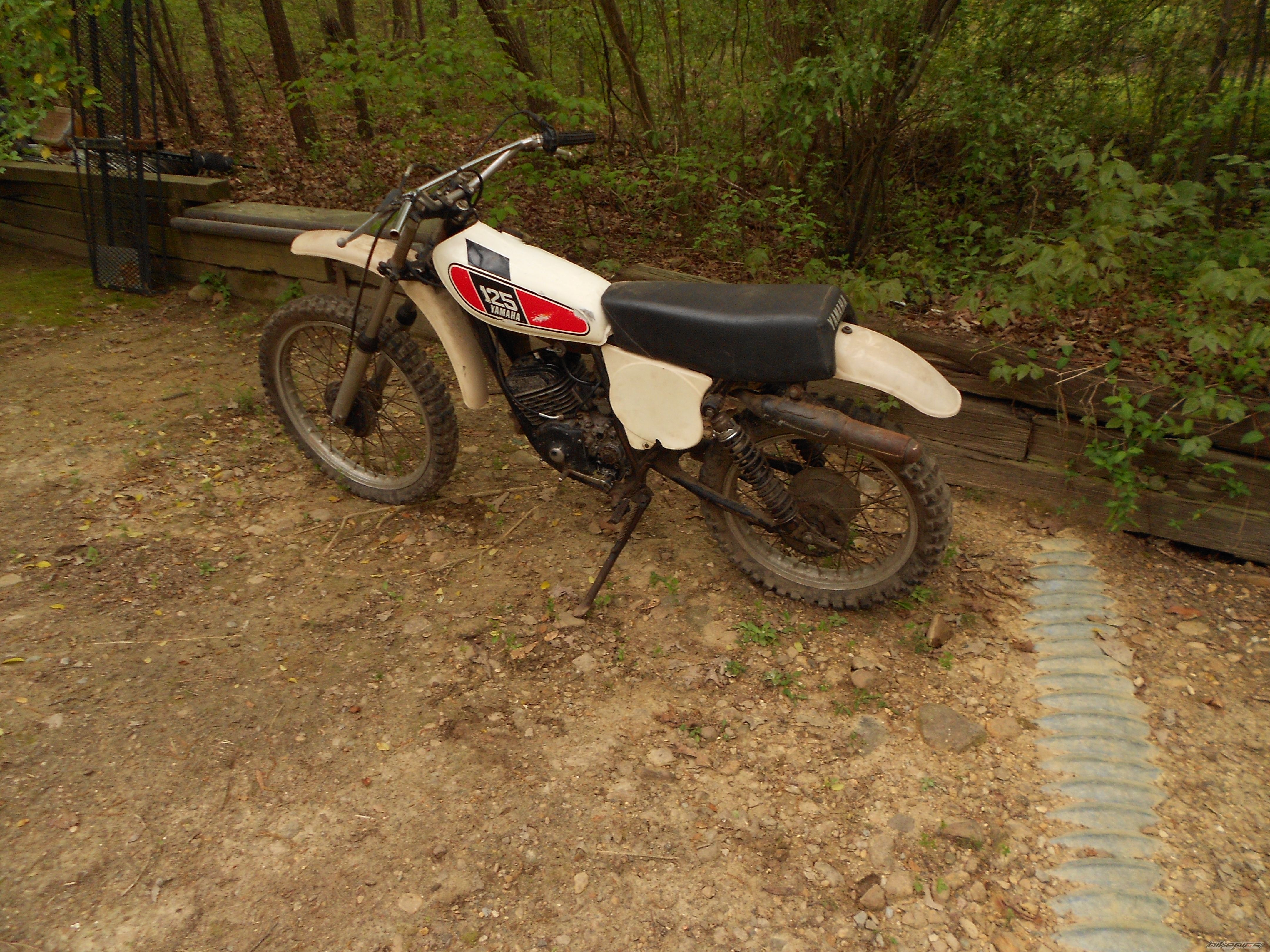 Photo 2543977
