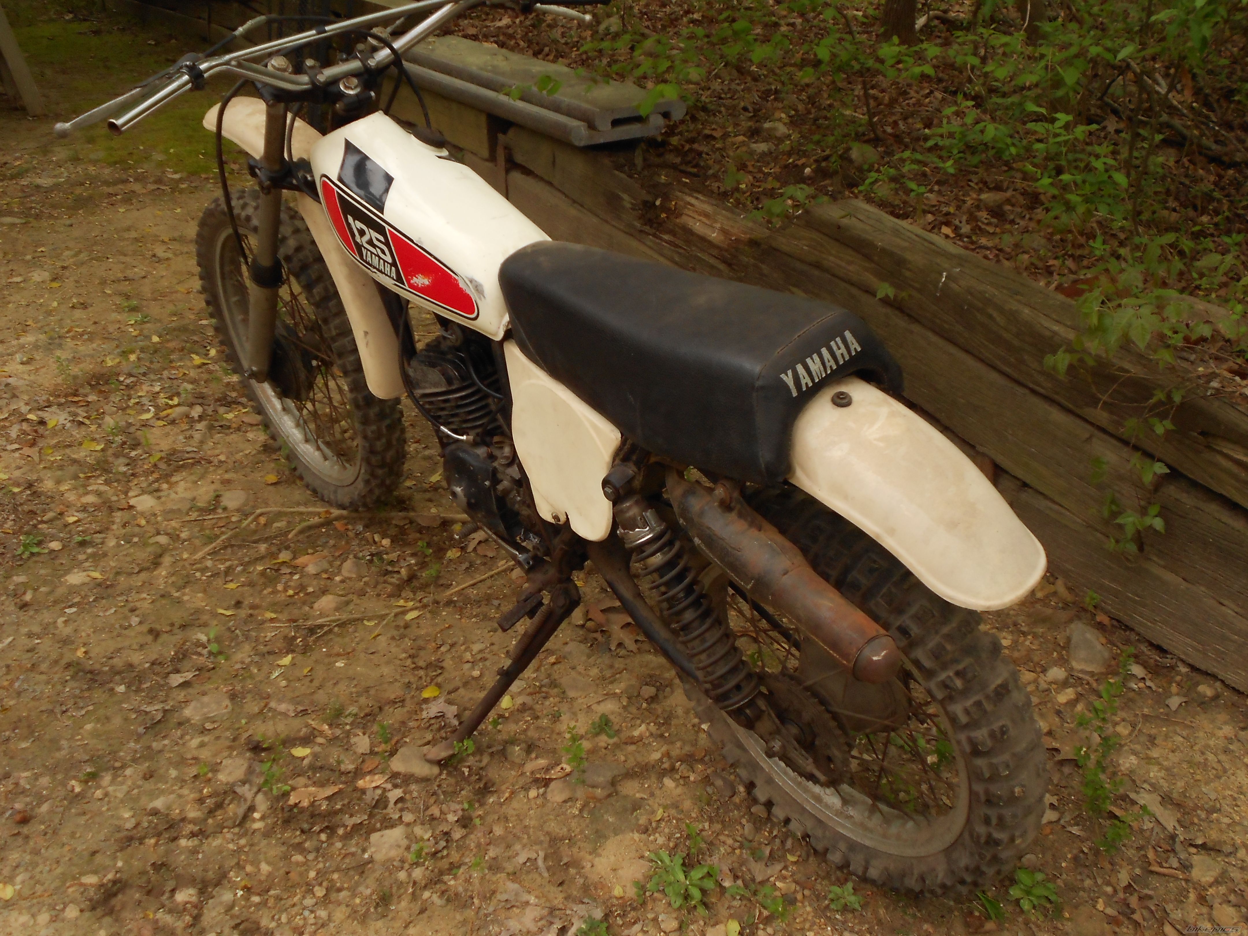 Photo 2543978