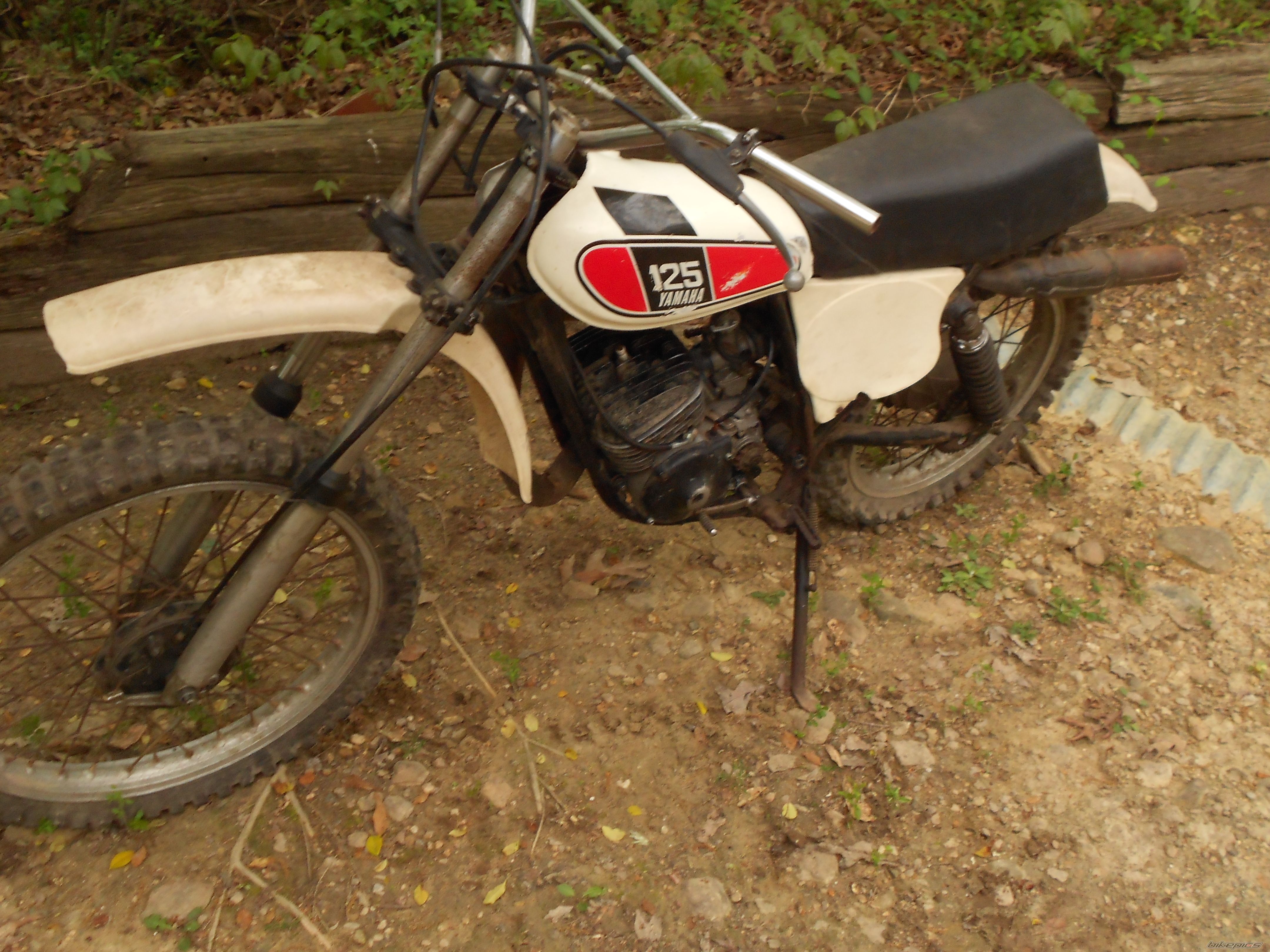 Photo 2543979