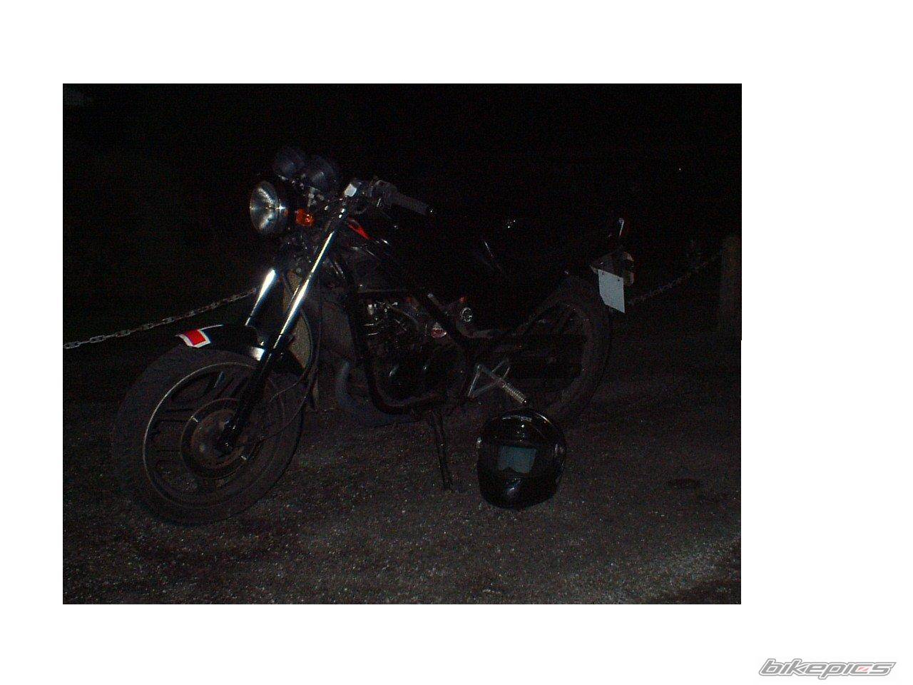 Photo 254399