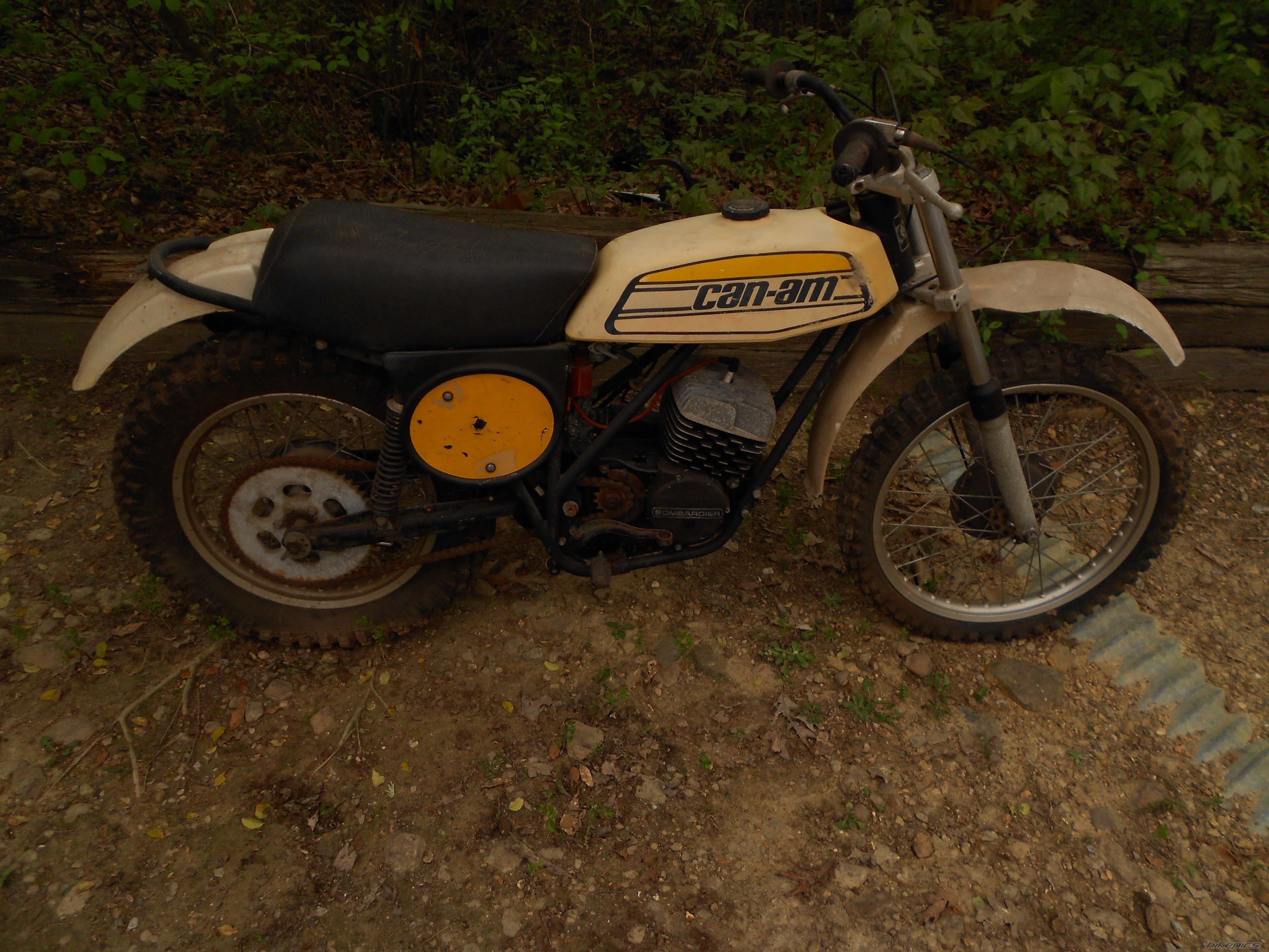 Photo 2543997