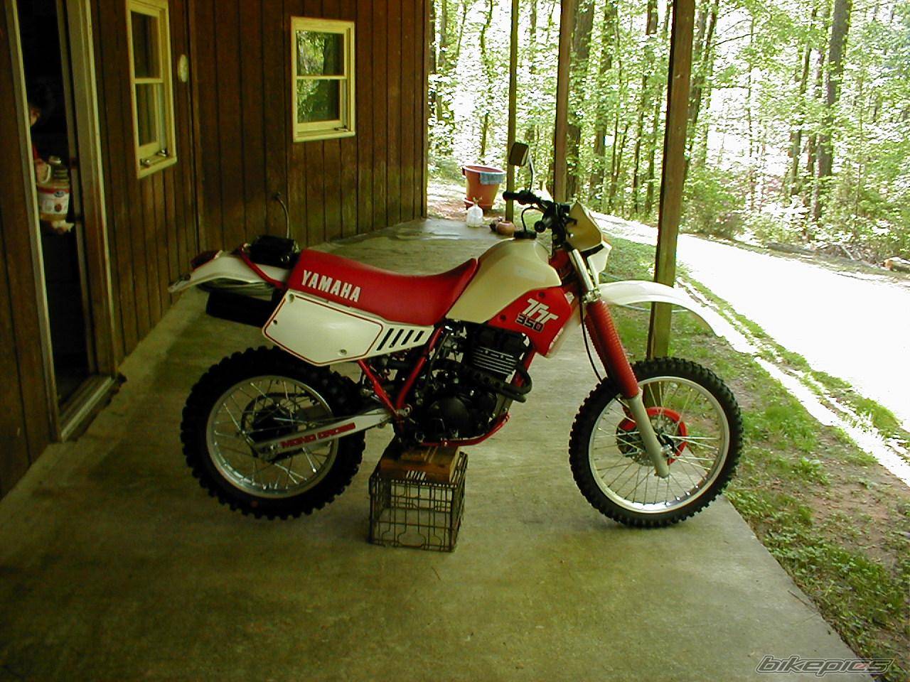 Bike Photo 25441