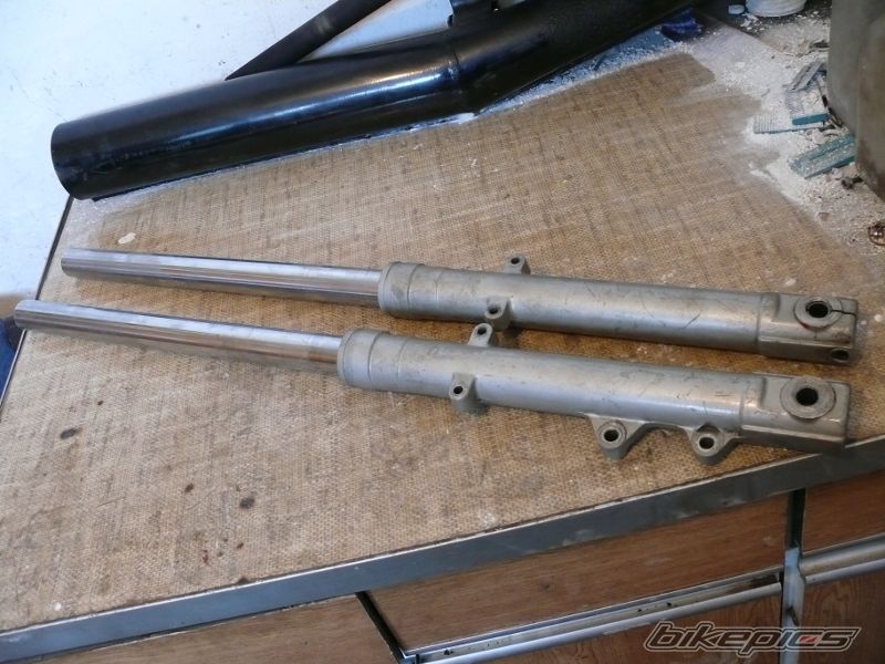 Photo 2544122