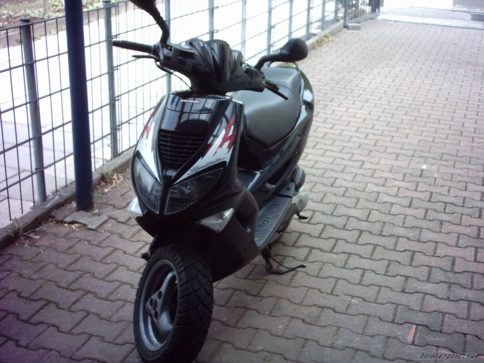 Photo 254415