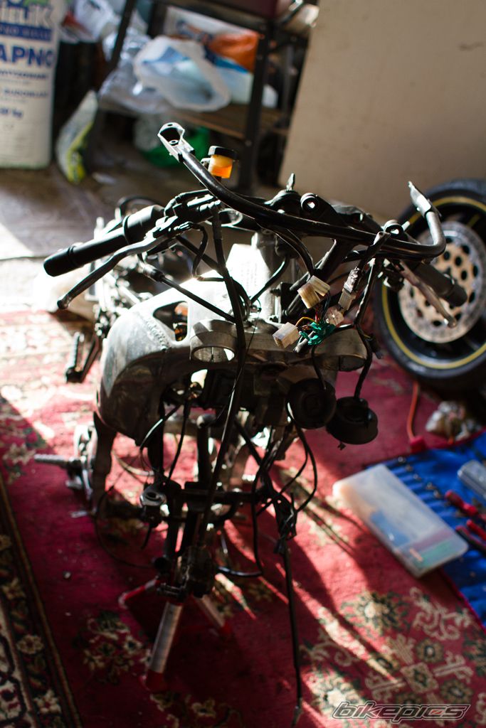Photo 2544182