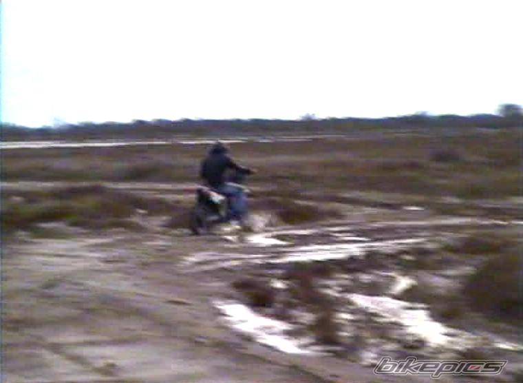 Photo 254420