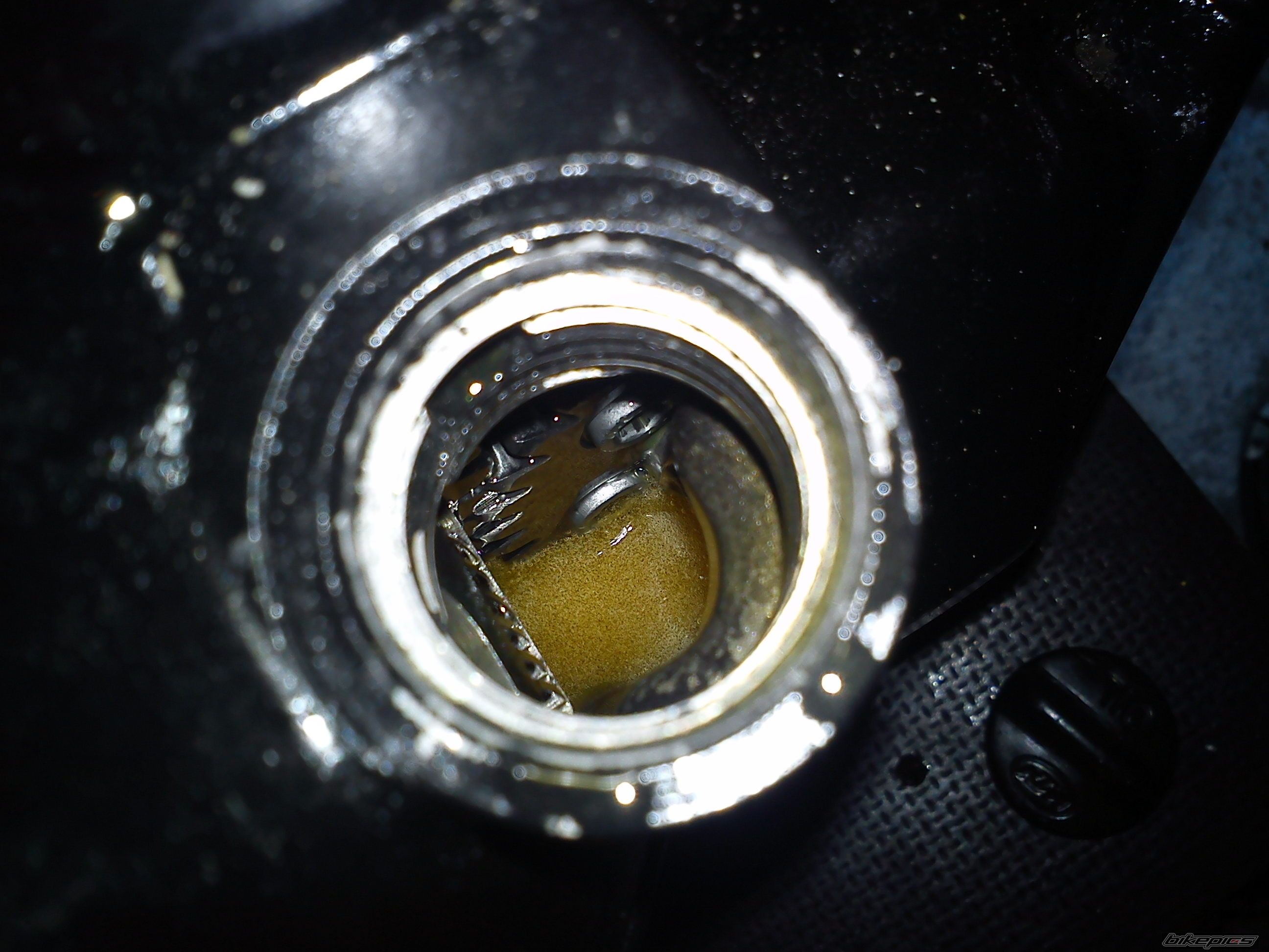 Photo 2544231