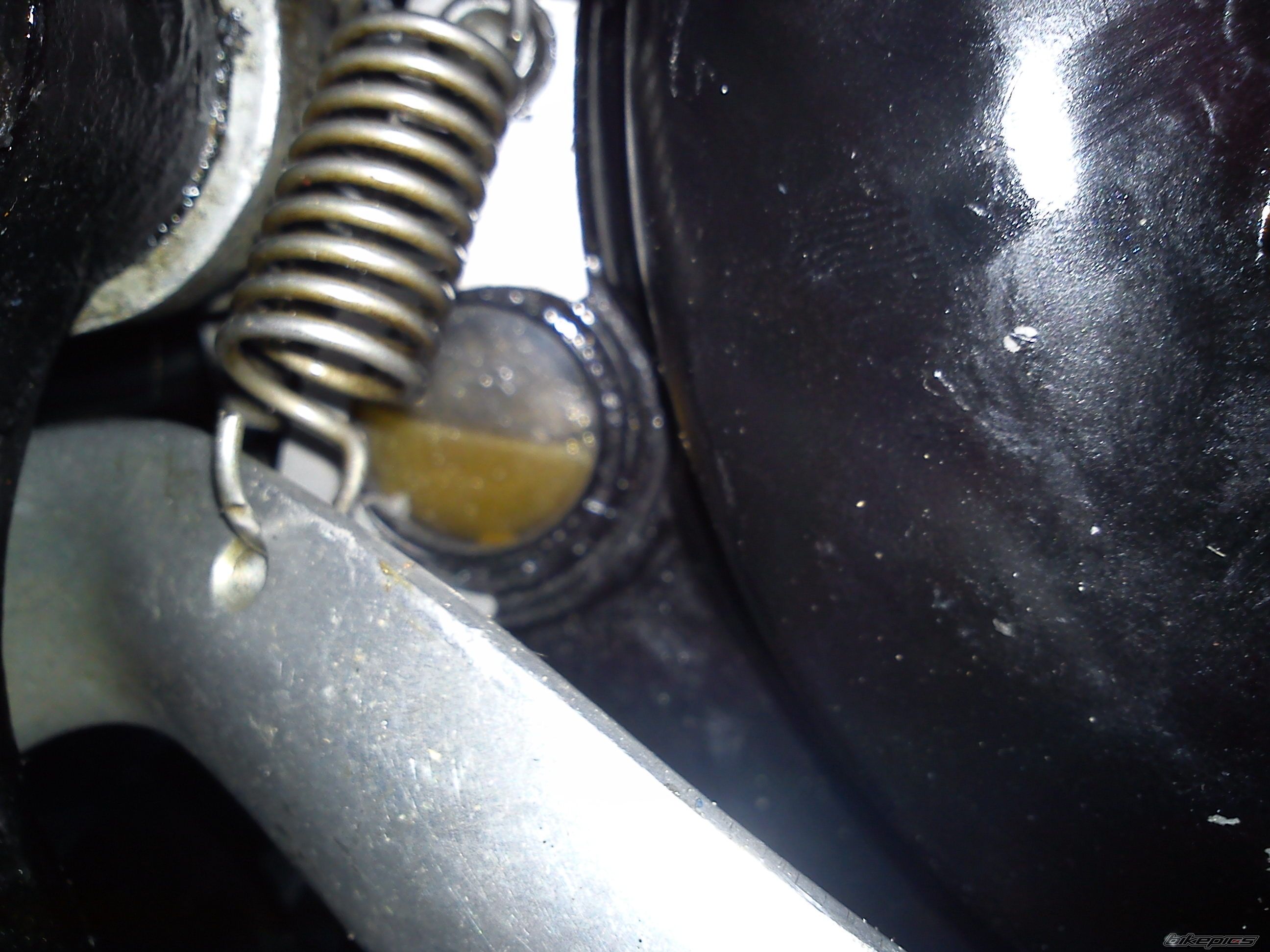 Photo 2544232