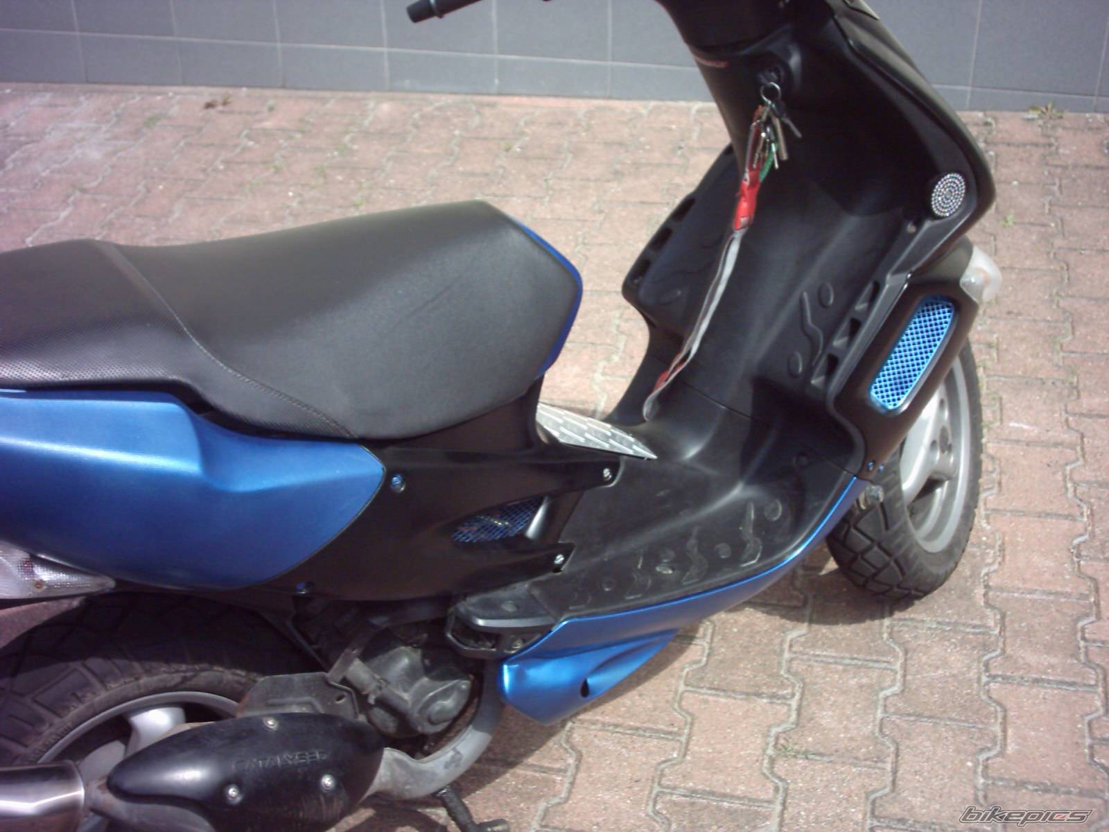 Photo 254425
