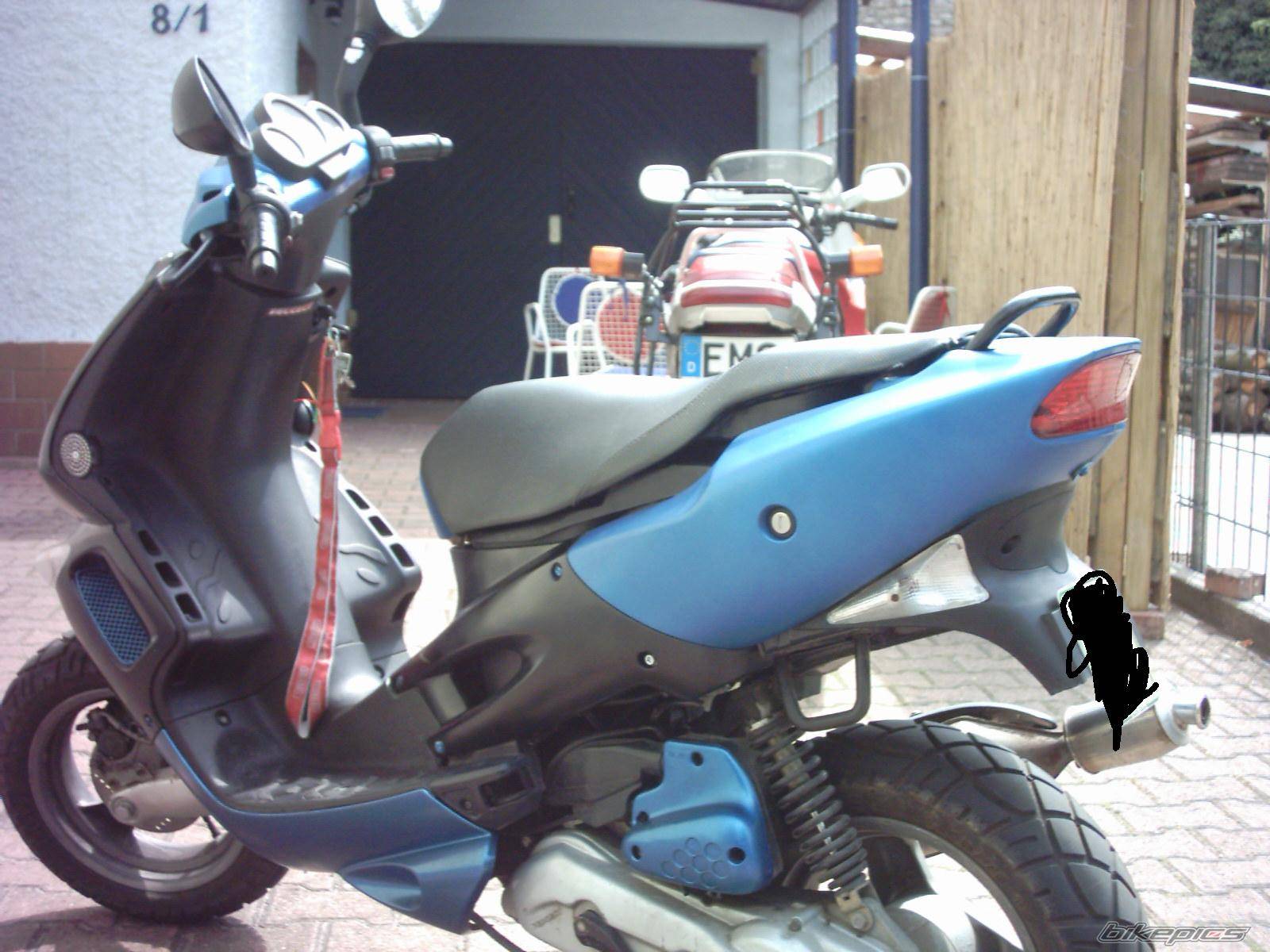 Photo 254427