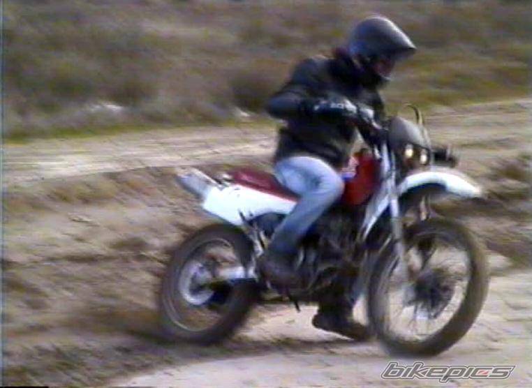 Photo 254432