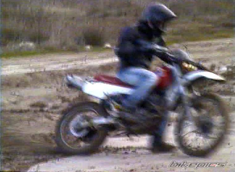 Photo 254435