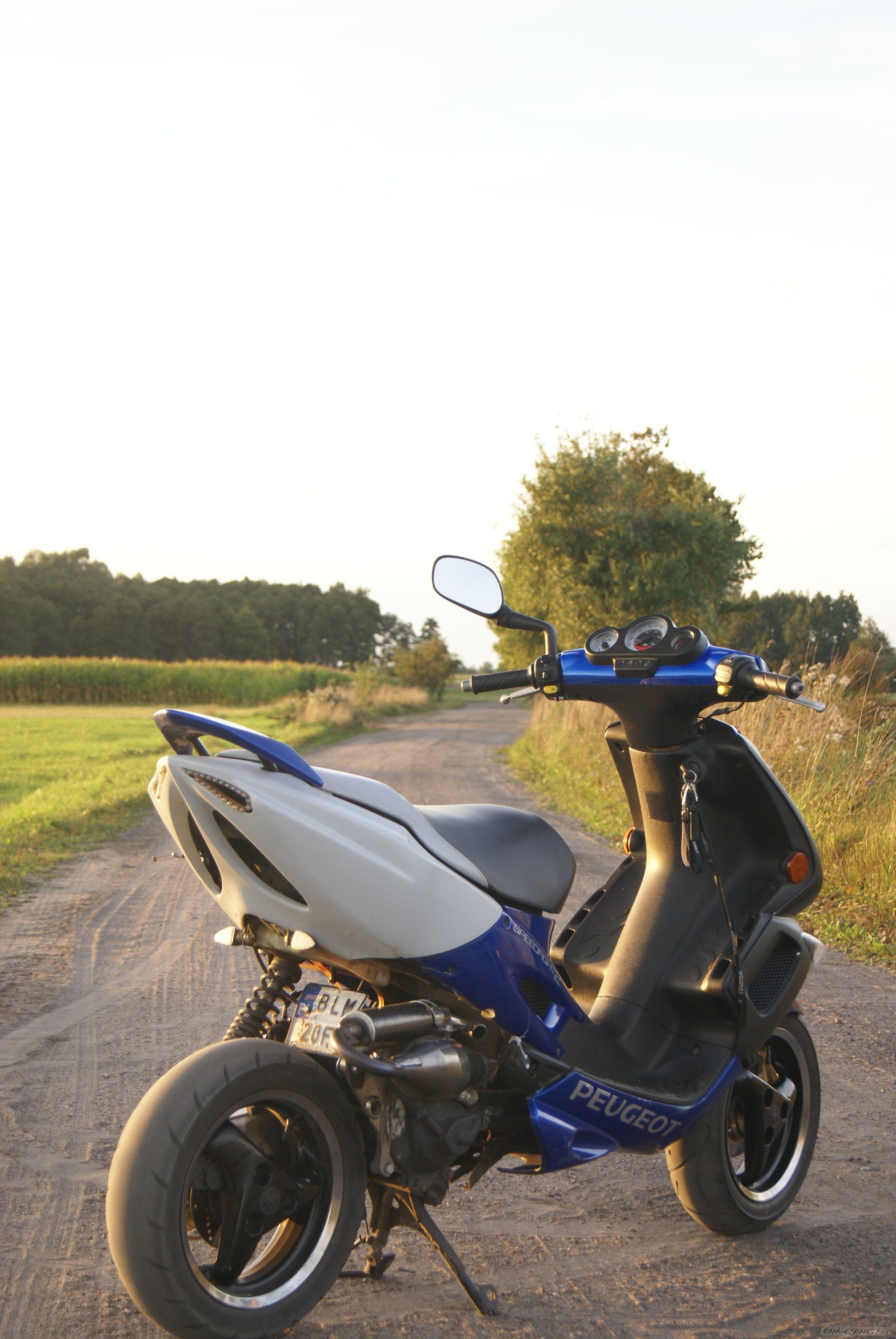 Photo 2544355