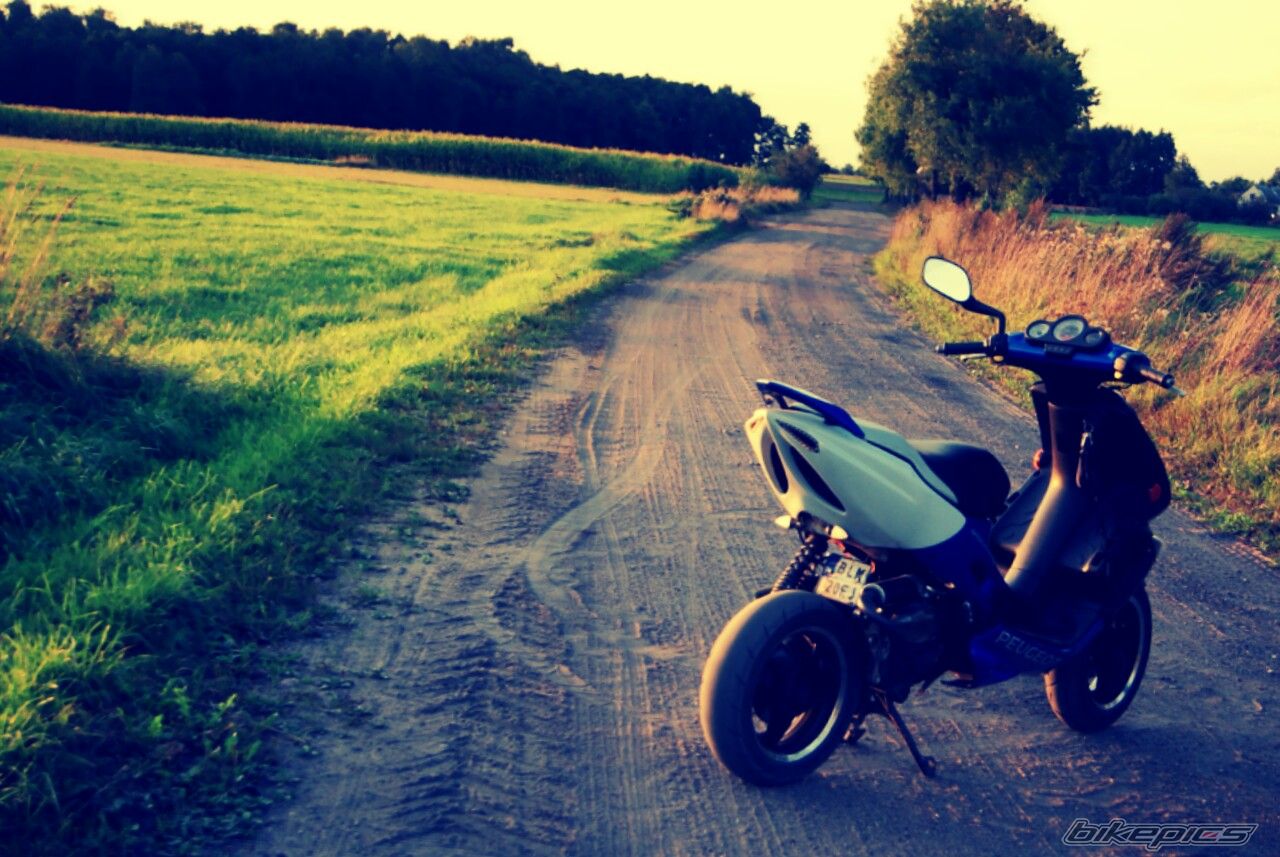 Photo 2544356