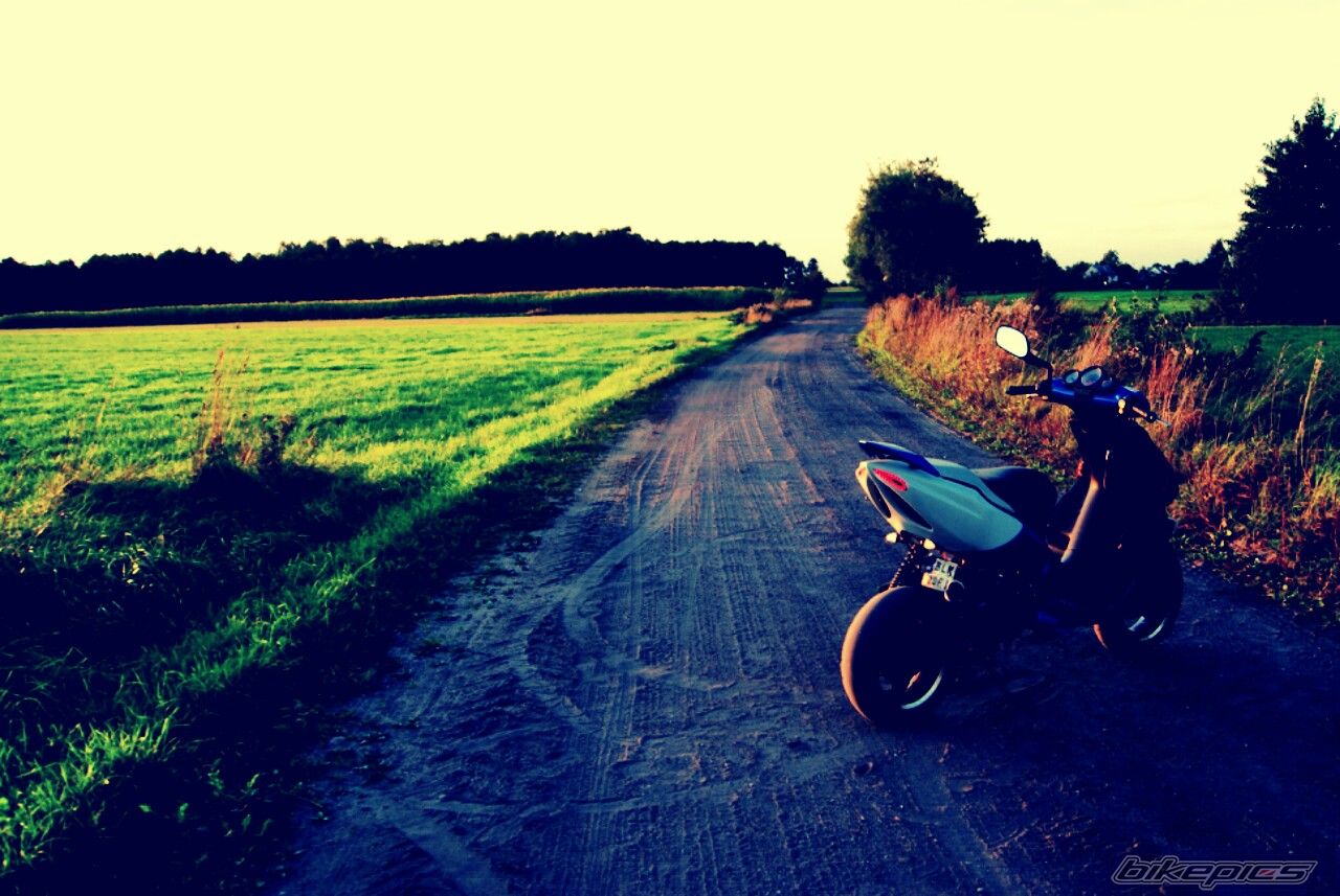 Photo 2544357