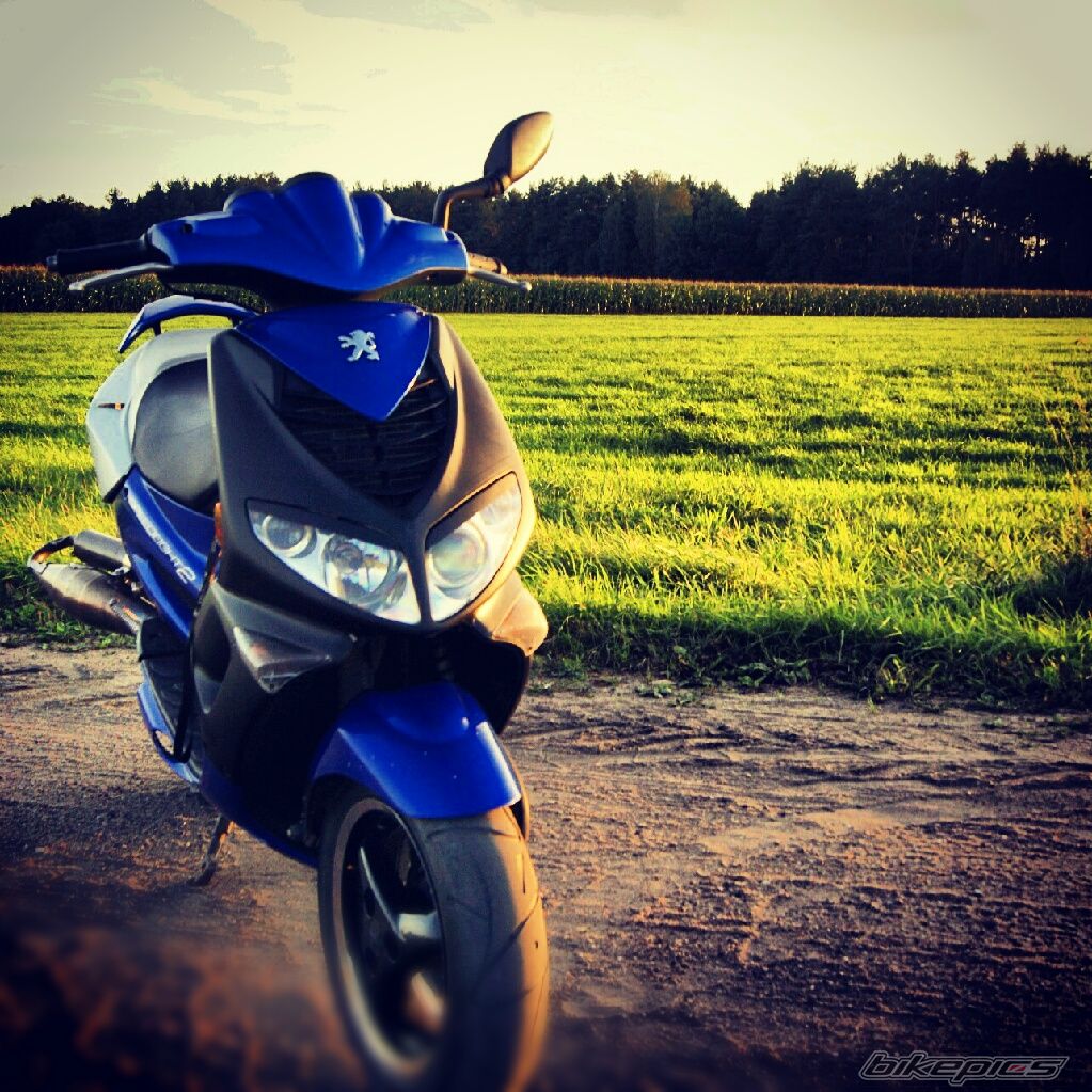 Photo 2544358